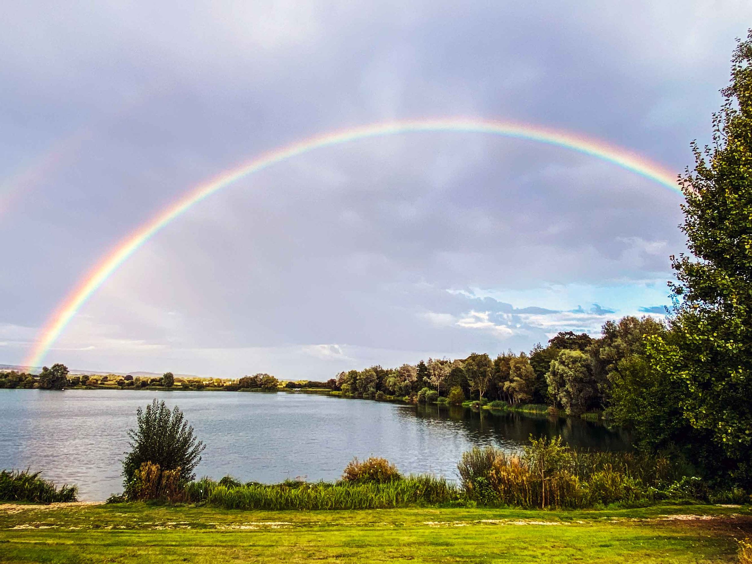 A rainbow arching across a cloudy sky over a body of water, with trees and grass in the foreground.