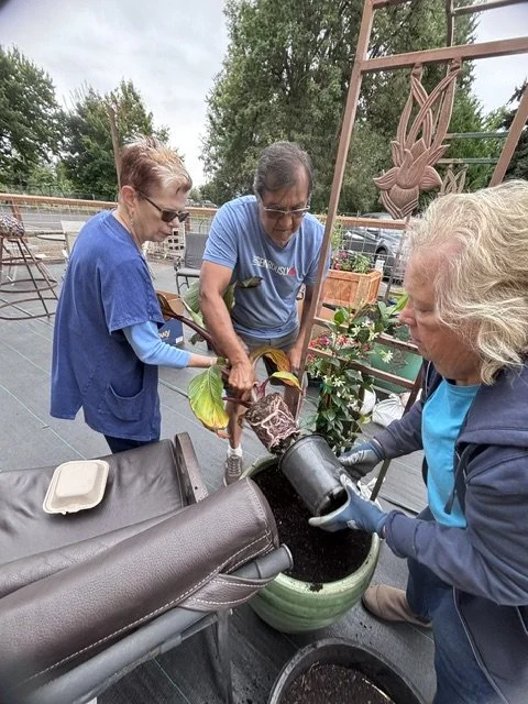 Three people, two women and one man, planting a small plant in a green pot on a rooftop garden. One woman holds a watering can, pouring soil into the pot, while the other woman assists and the man works with a small trowel.