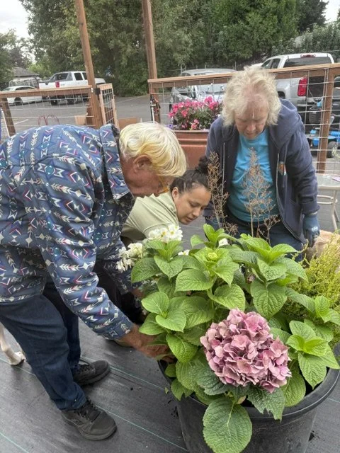 three women, two elderly with white hair and one younger, are examining a potted plant with pink hydrangea flowers in an outdoor garden center.