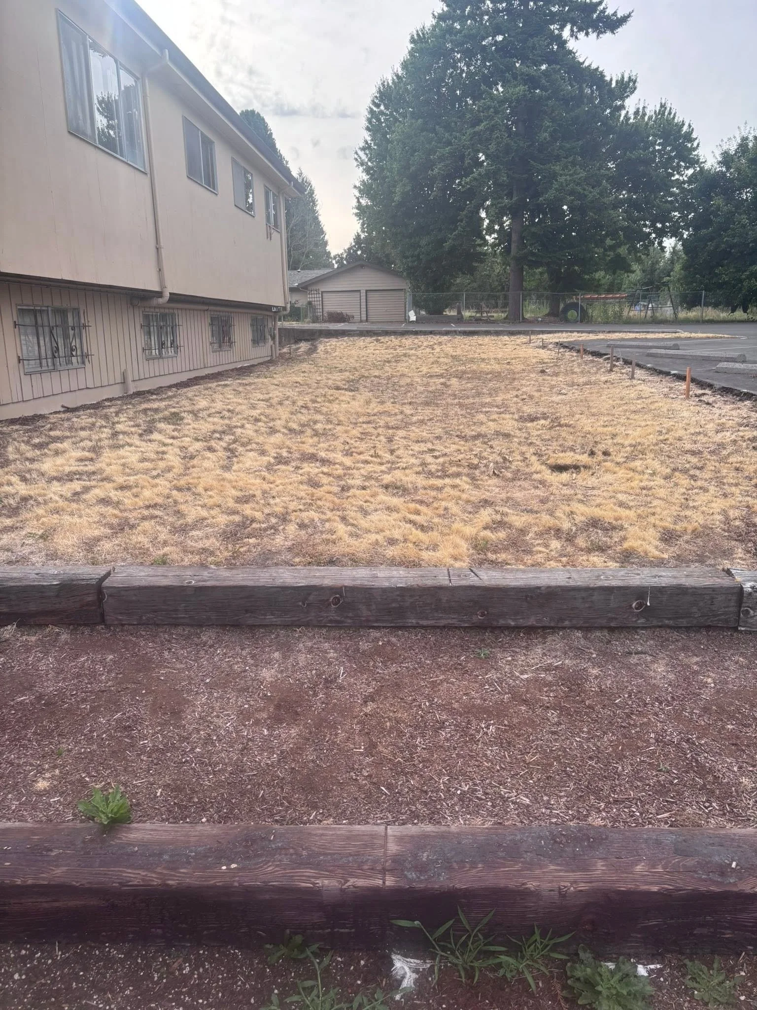 The image shows a yard with a bare patch of dirt and a wooden border, with a house on the left side and tall trees in the background.
