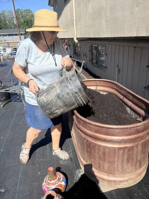 Woman wearing a straw hat, gray shirt, blue shorts, and sandals, pouring soil from a metal bucket into a large brown planter on a rooftop.