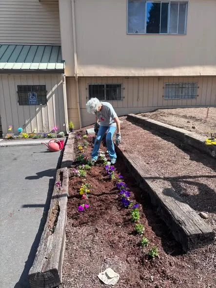 An elderly woman planting colorful flowers in a garden bed outside a building.