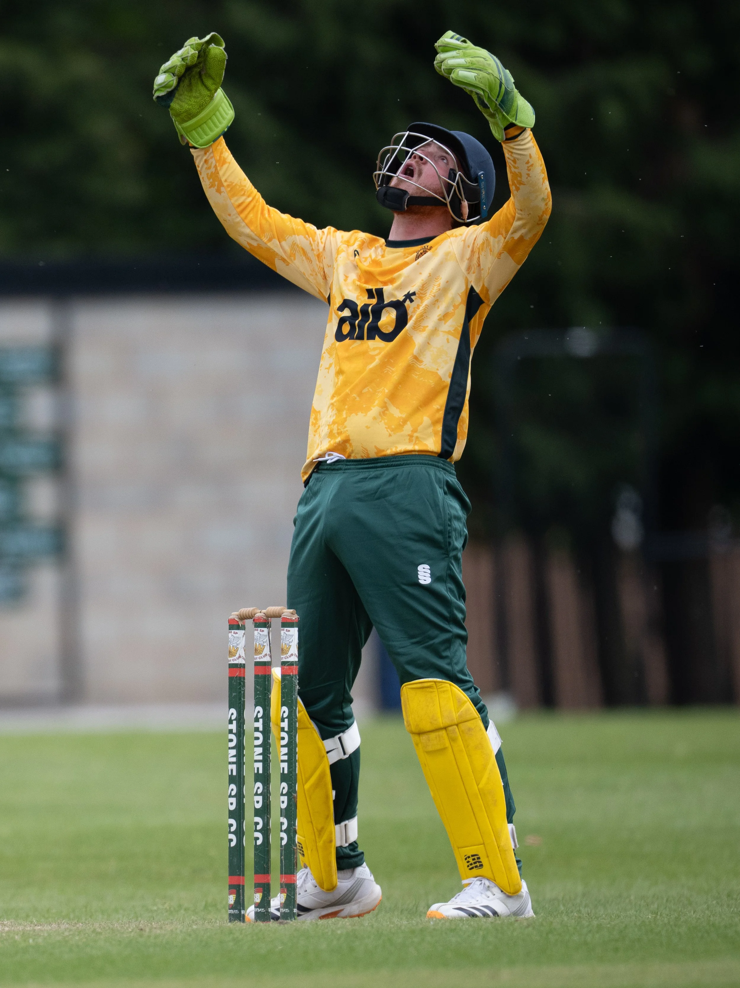 A cricket player in yellow and green uniform celebrating on the field with arm raised and mouth open, wearing a helmet and gloves, standing next to the stumps.