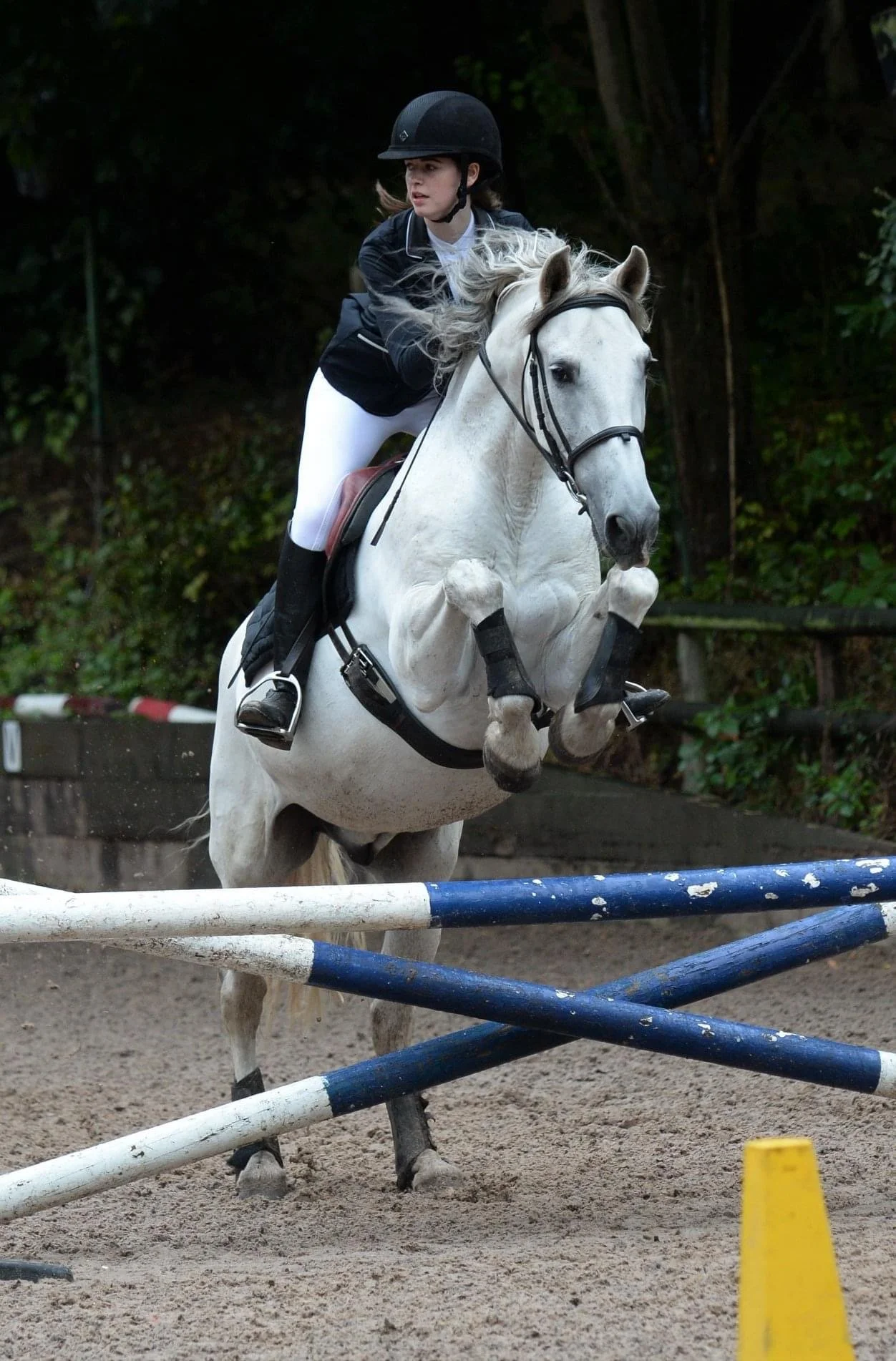 A young female equestrian riding a white horse jumping over an obstacle during a show jumping event outdoors. The rider is wearing a helmet, black riding jacket, and white breeches. The background features dark trees.