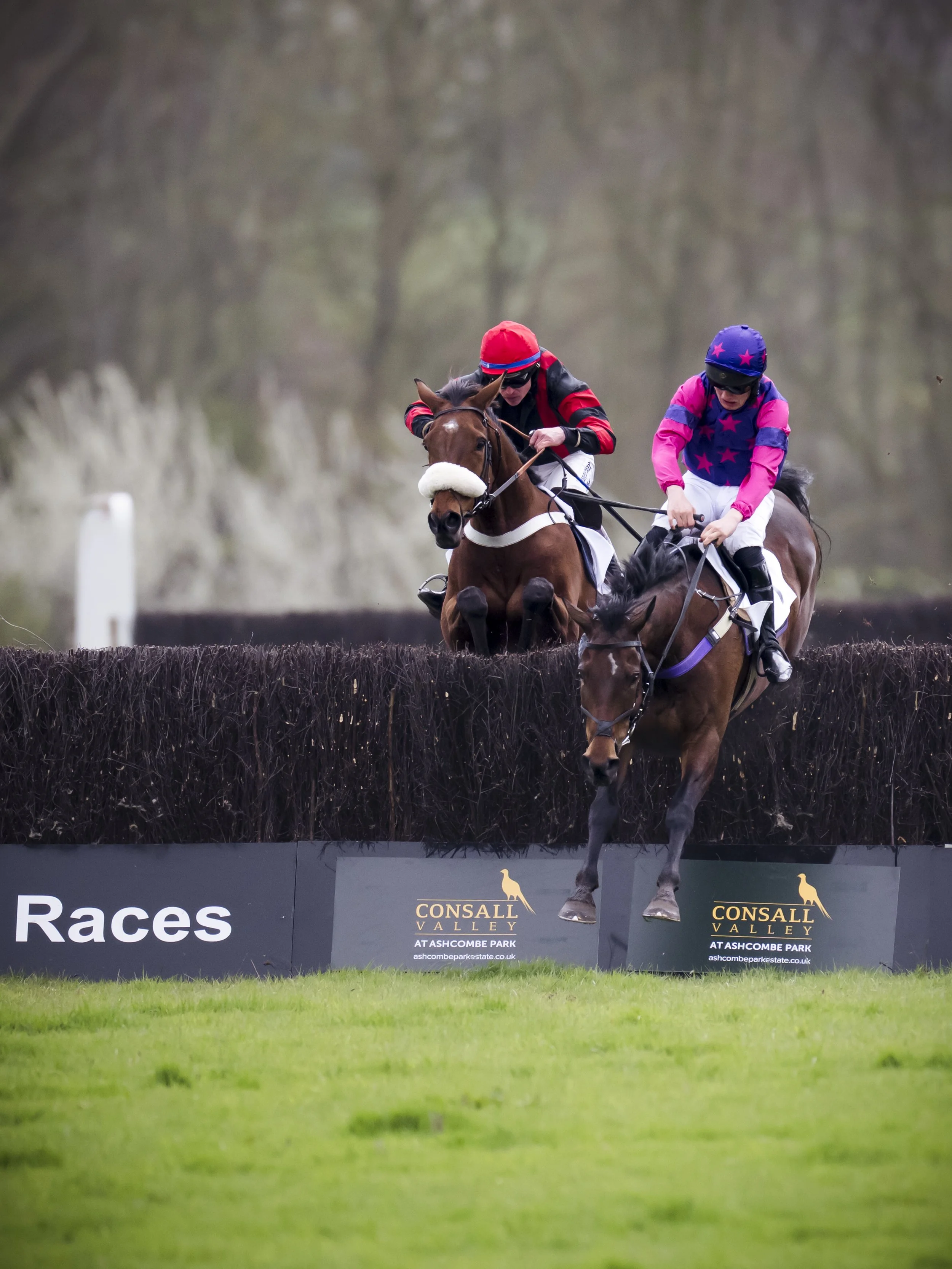 Two jockeys riding horses clear a hurdle during a steeplechase race at Ashcombe Park, with advertising signs for Consall Valley and a prize to win behind them.