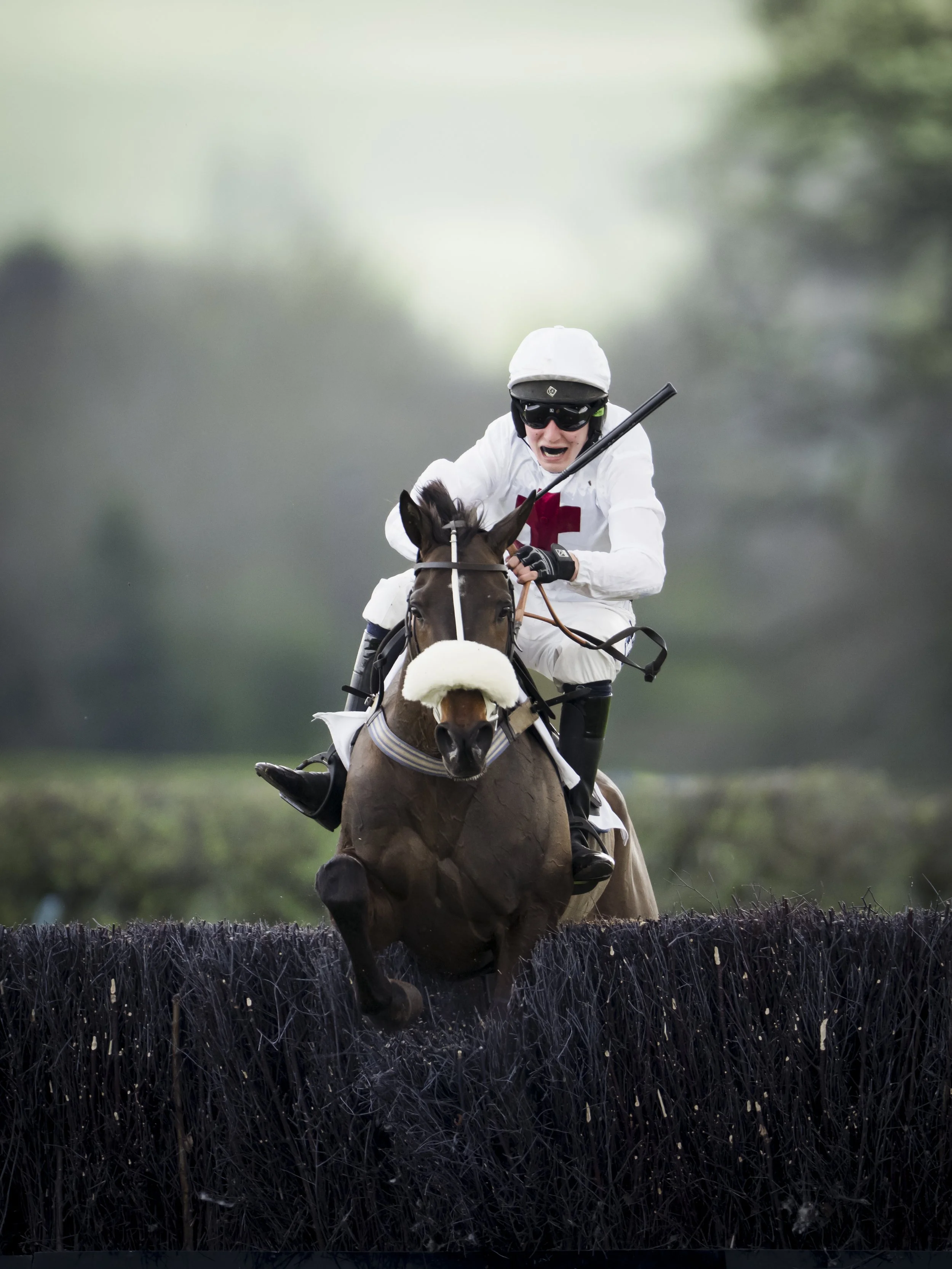 A jockey rides a horse on a racetrack, with a black boundary and blurred green trees in the background.