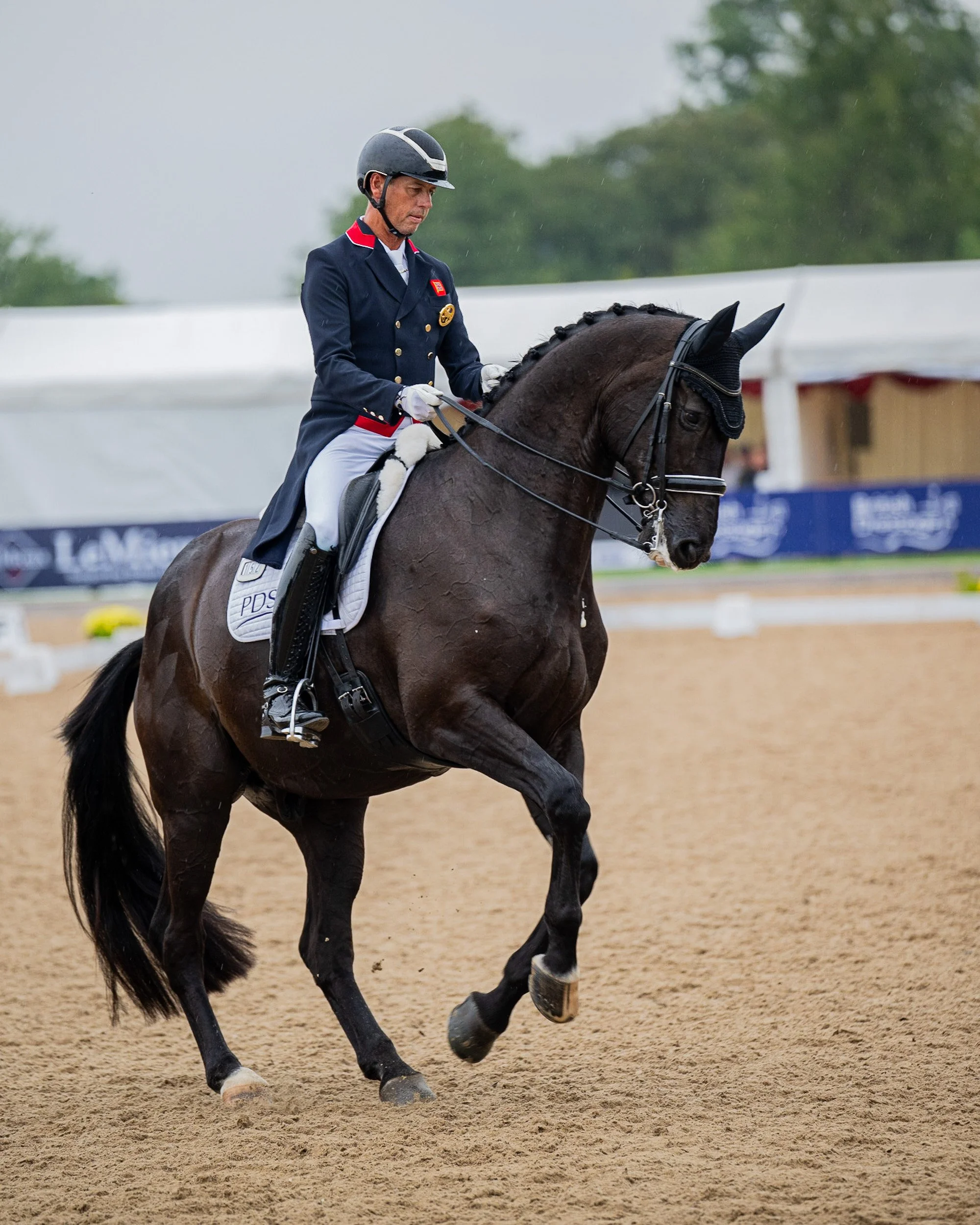 A man wearing formal riding attire, including a helmet, riding a dark horse on an equestrian arena with a seated audience in the background and outdoor setting with cloudy sky.