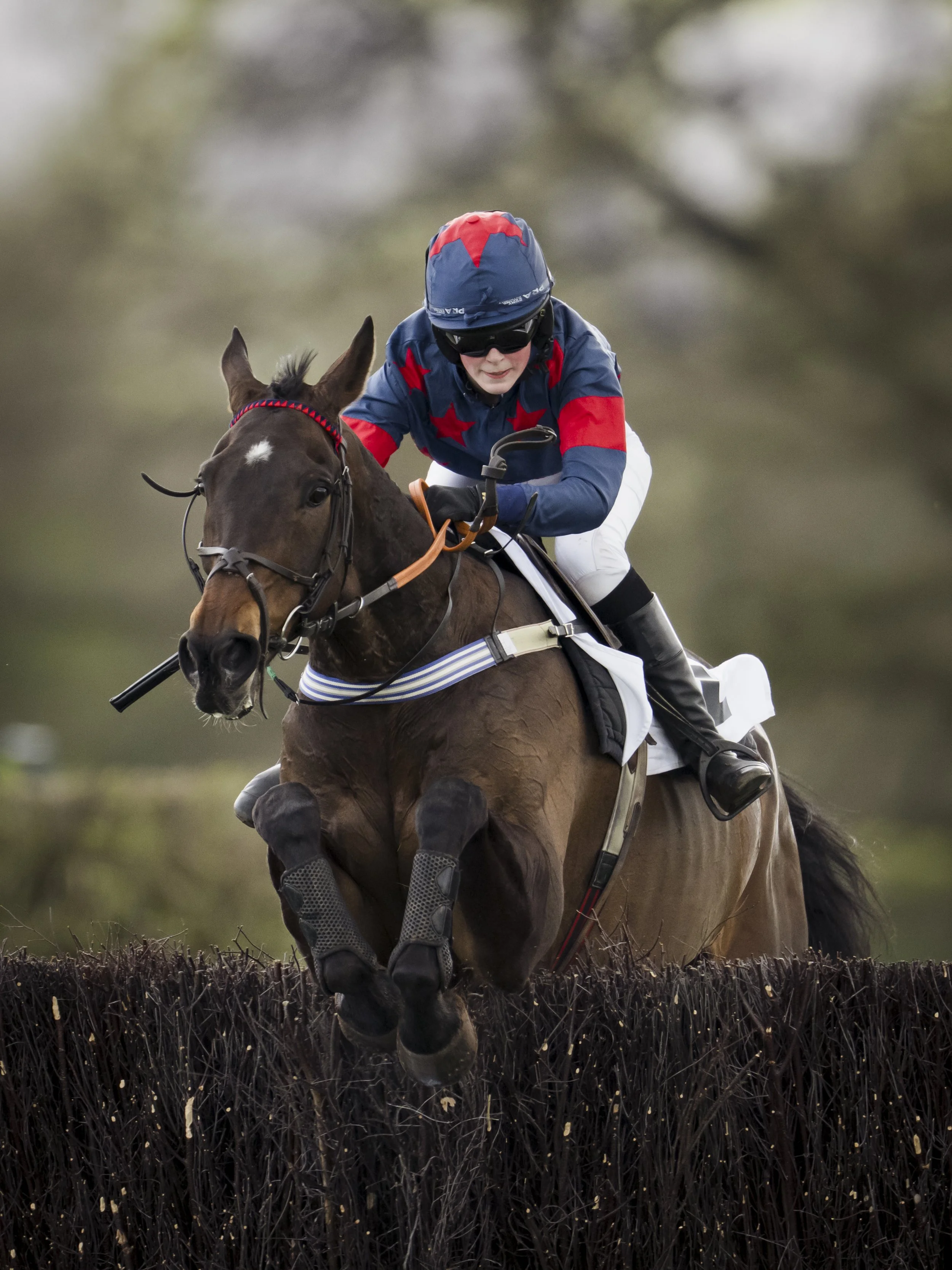 A jockey riding a horse jumps over a hurdle during a race. The jockey is dressed in blue and red racing silks and wearing a helmet and sunglasses.