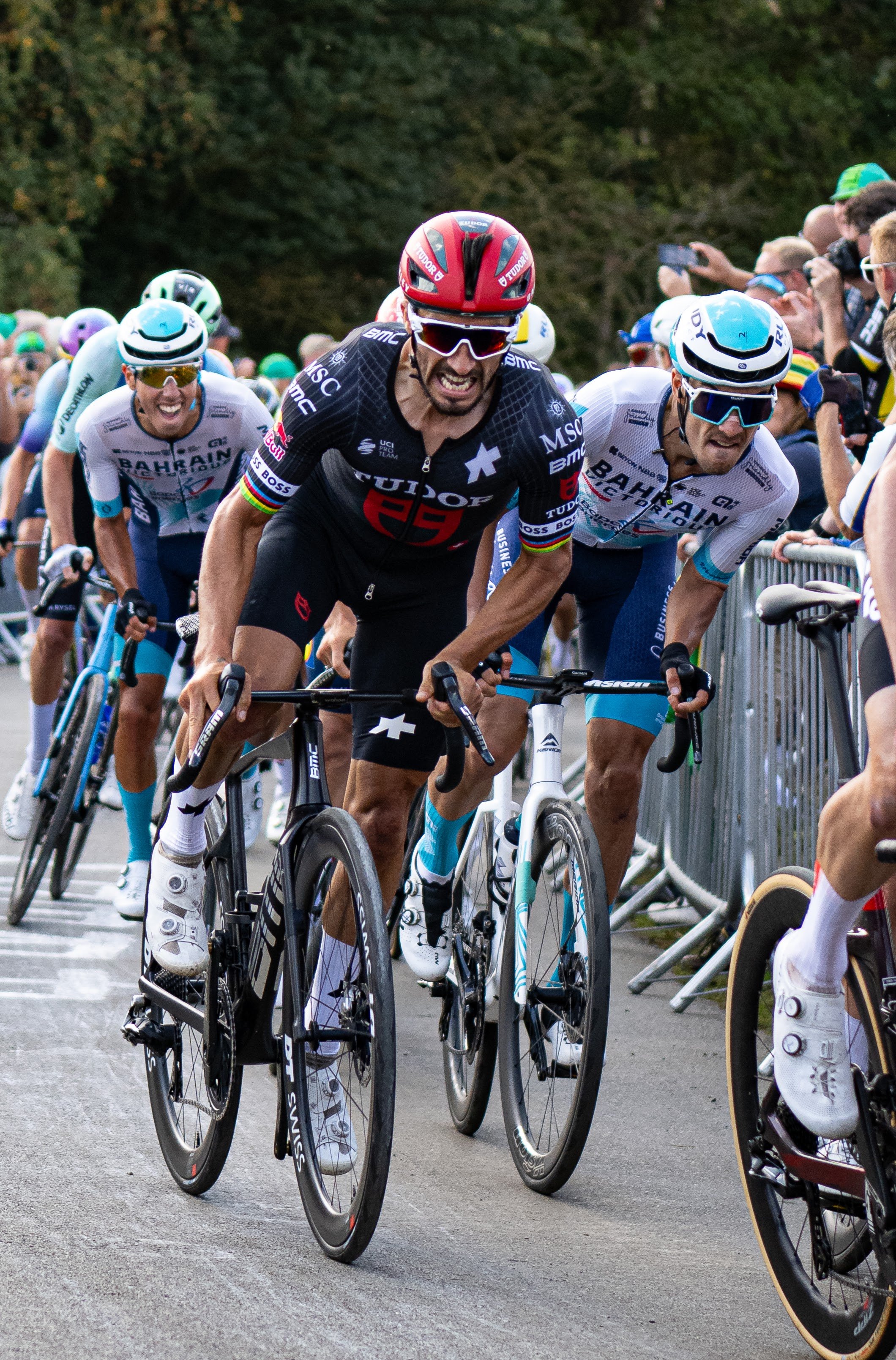 Professional cyclists competing in a race, with a crowd of spectators on the side.