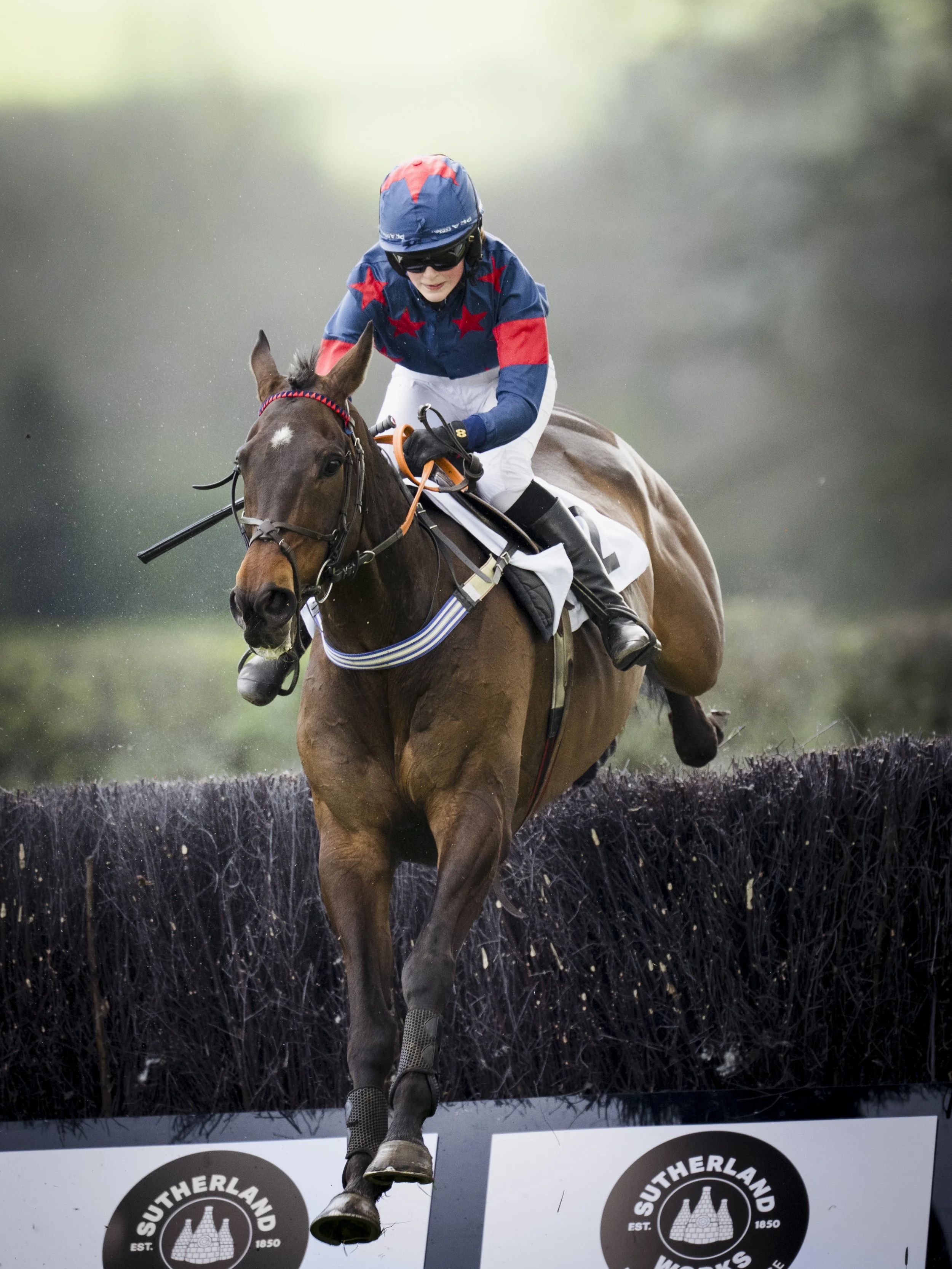 A jockey riding a racehorse jumps over a hurdle during a steeplechase race.