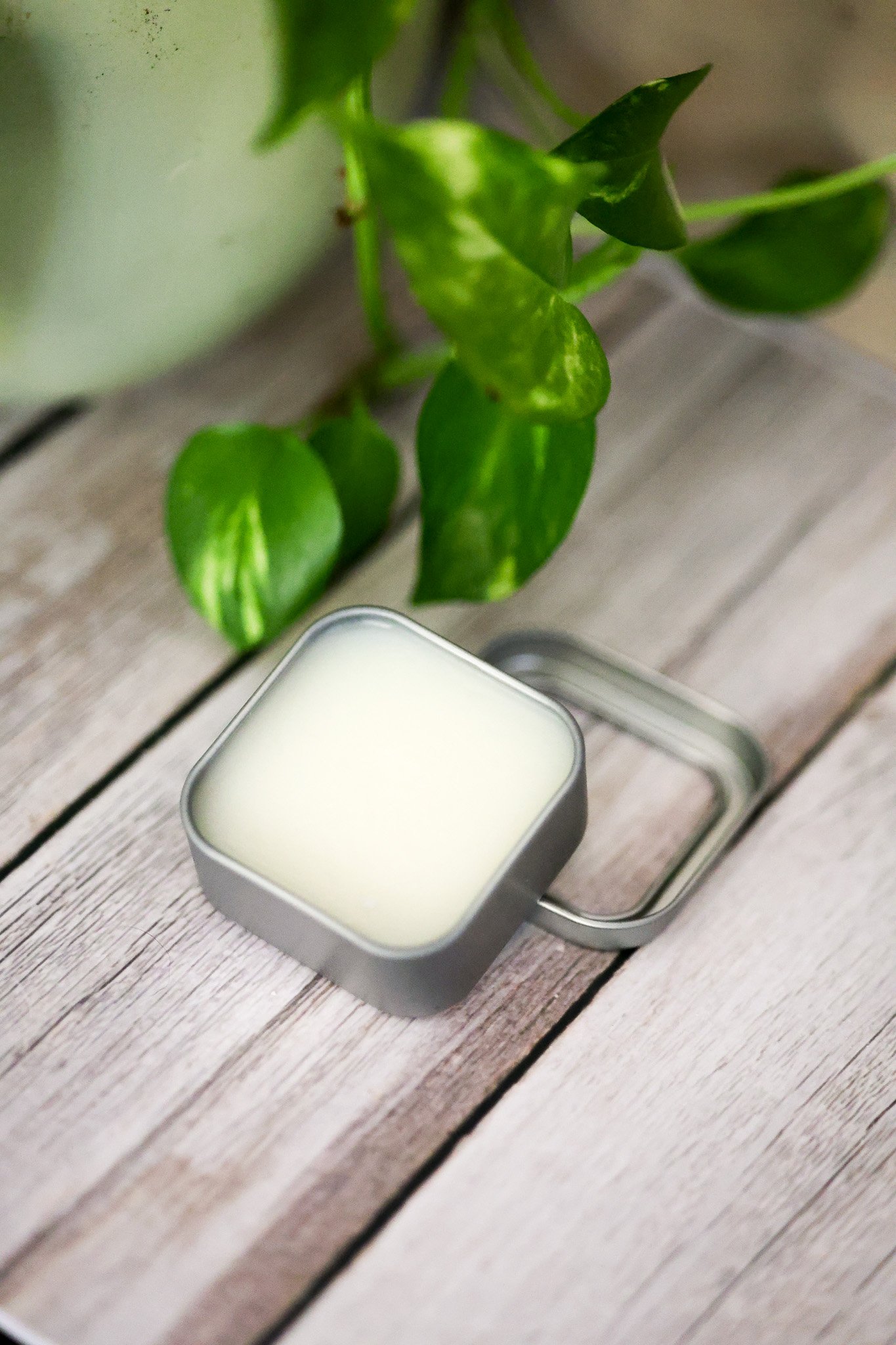 Tallow Skin Repair