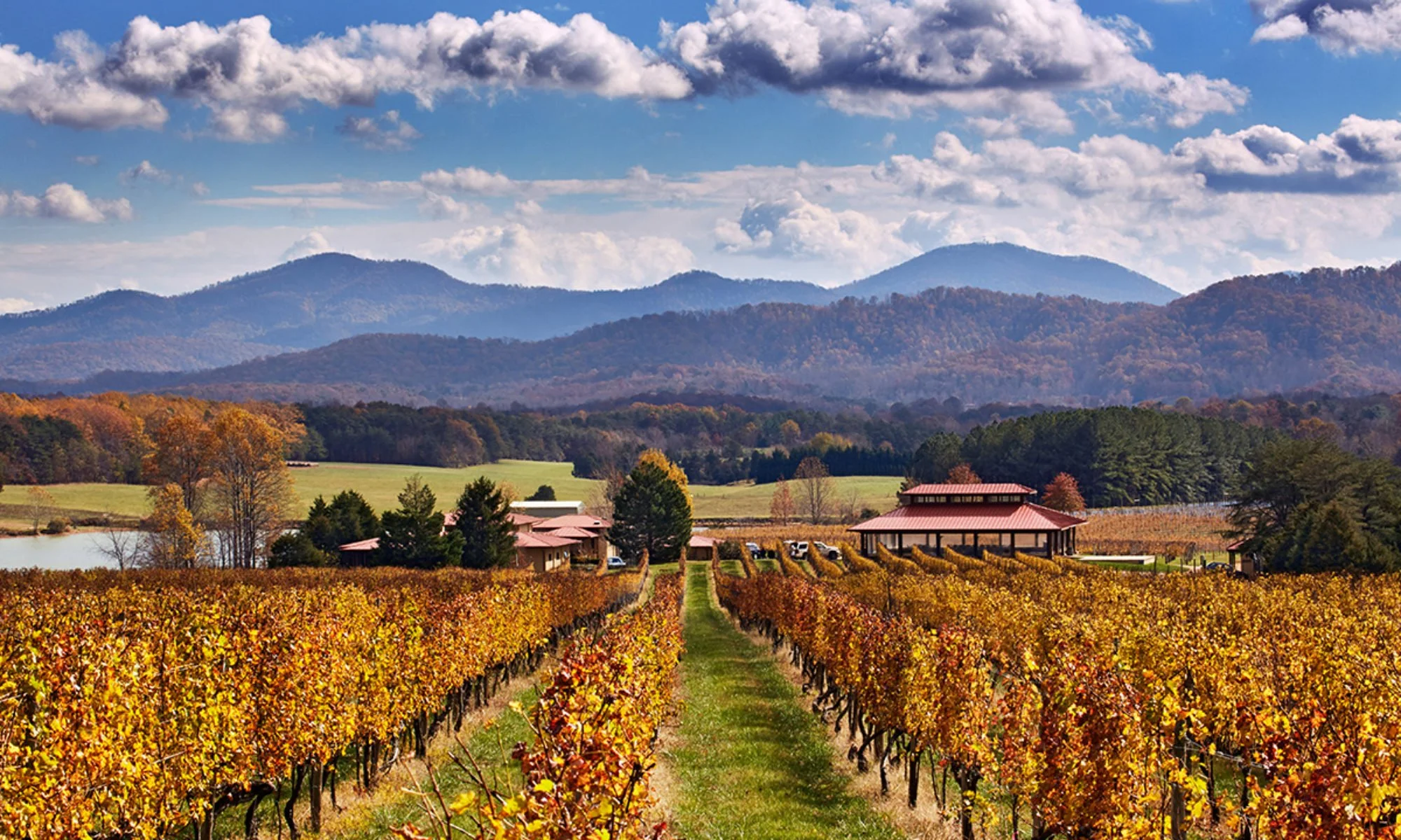 A scenic view of a vineyard with rows of grapevines with autumn foliage, a pond, and buildings with red roofs in the foreground. In the background are rolling hills and mountains under a partly cloudy sky.