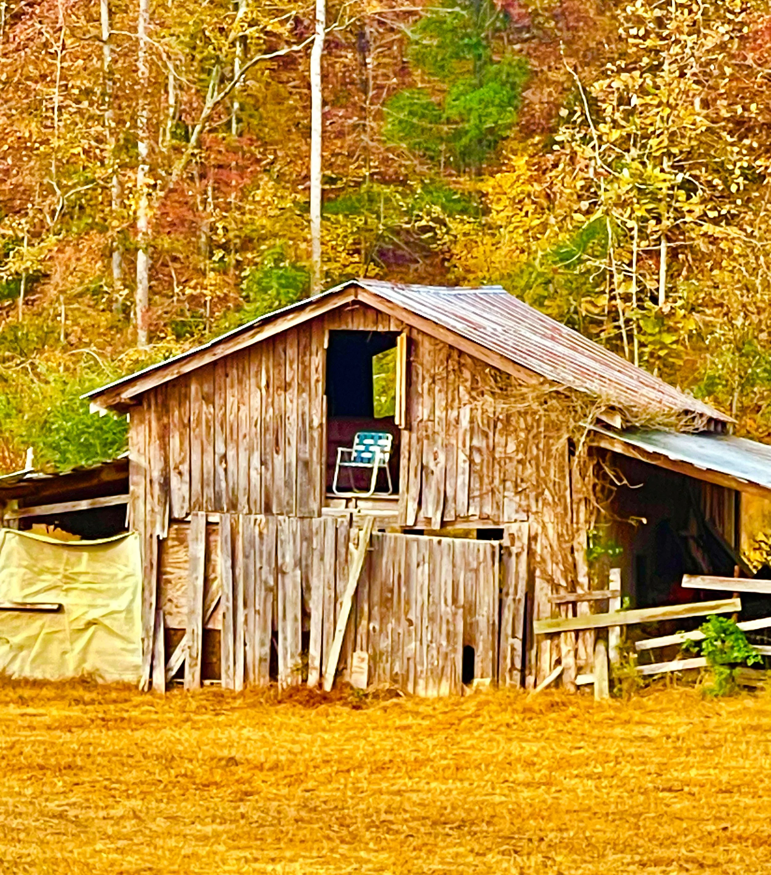 The Lookout Post