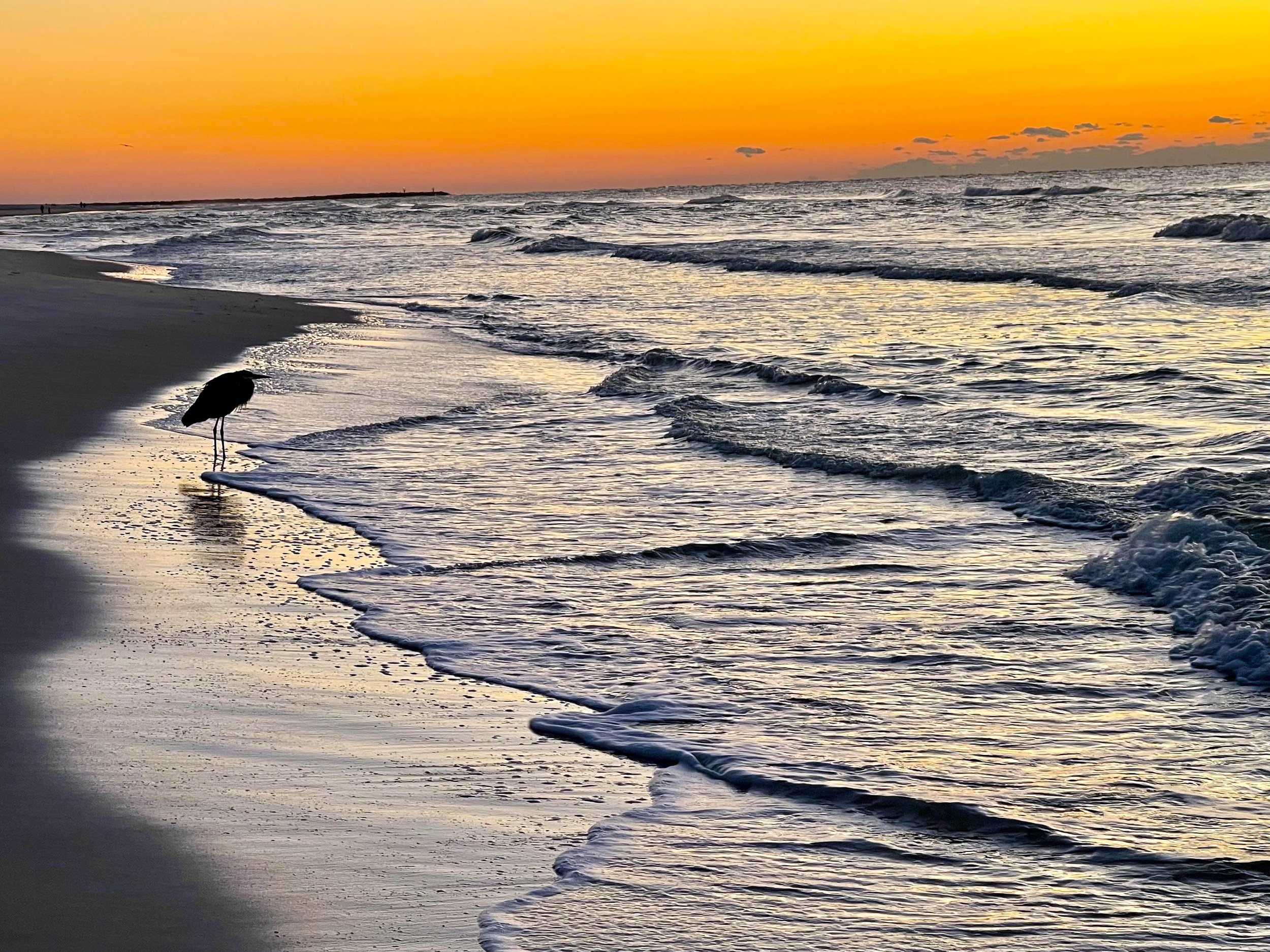 Walk This Way
