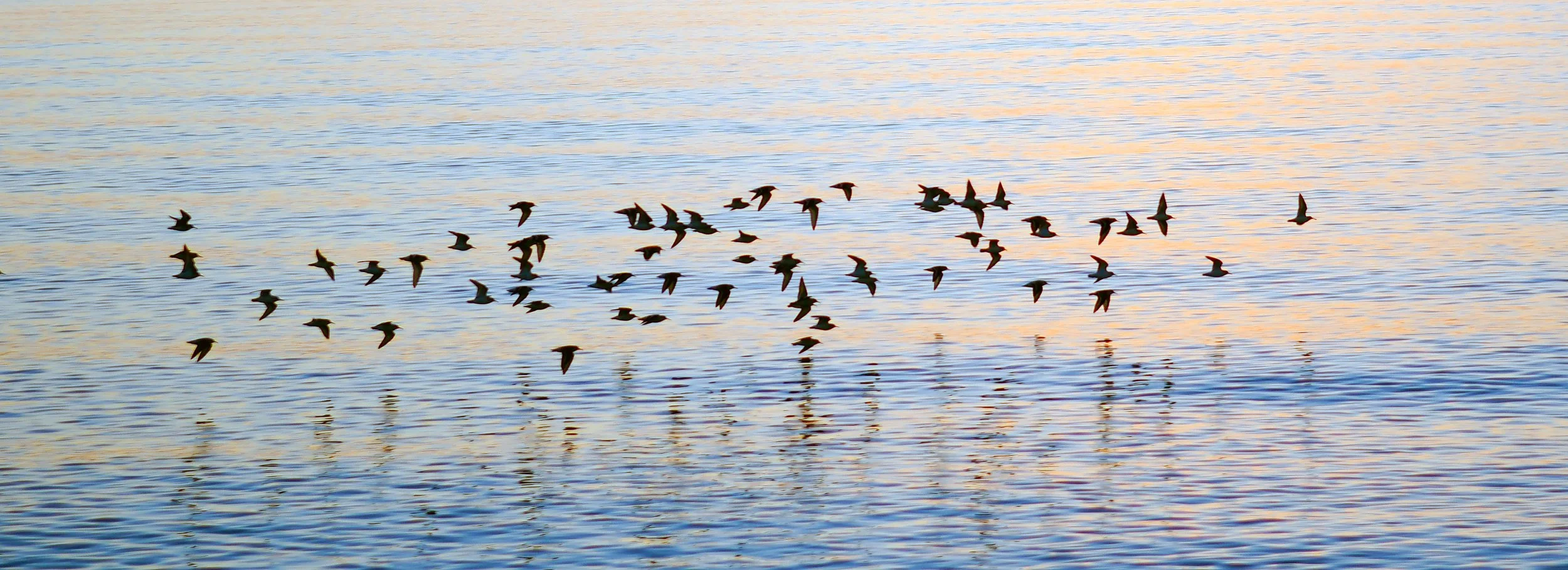 Taking Flight

