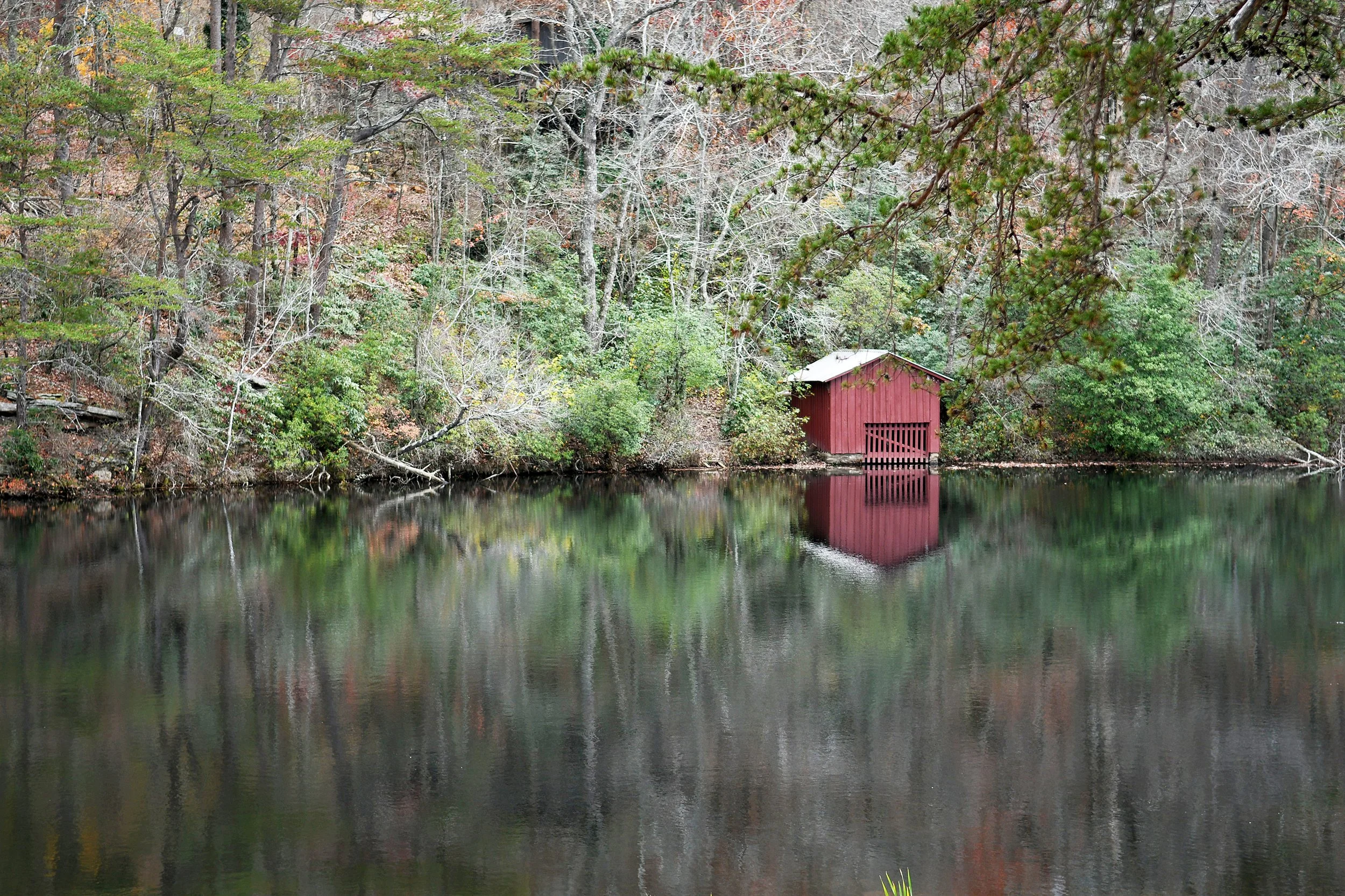 Quiet Reflections