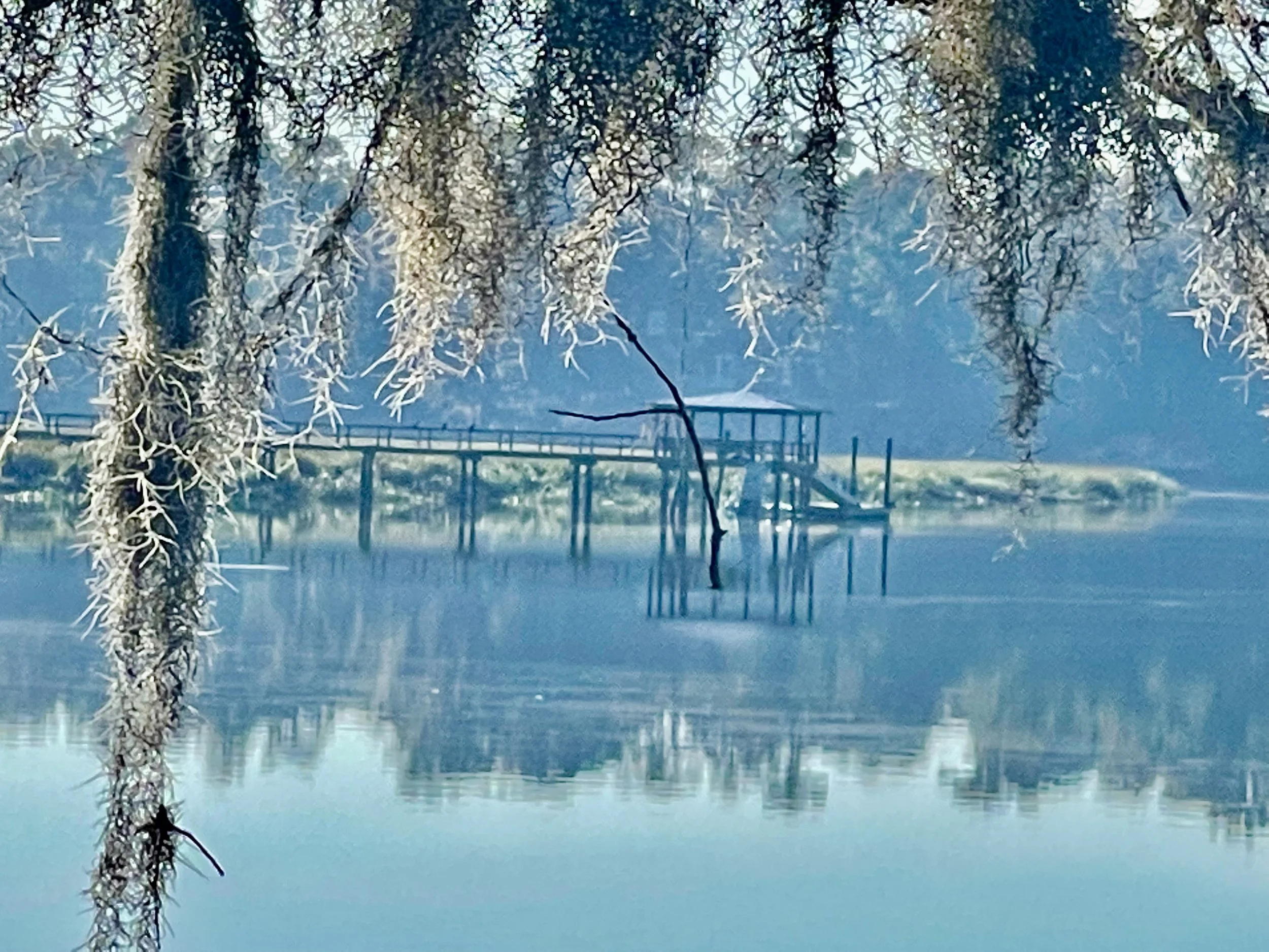May River Musing
