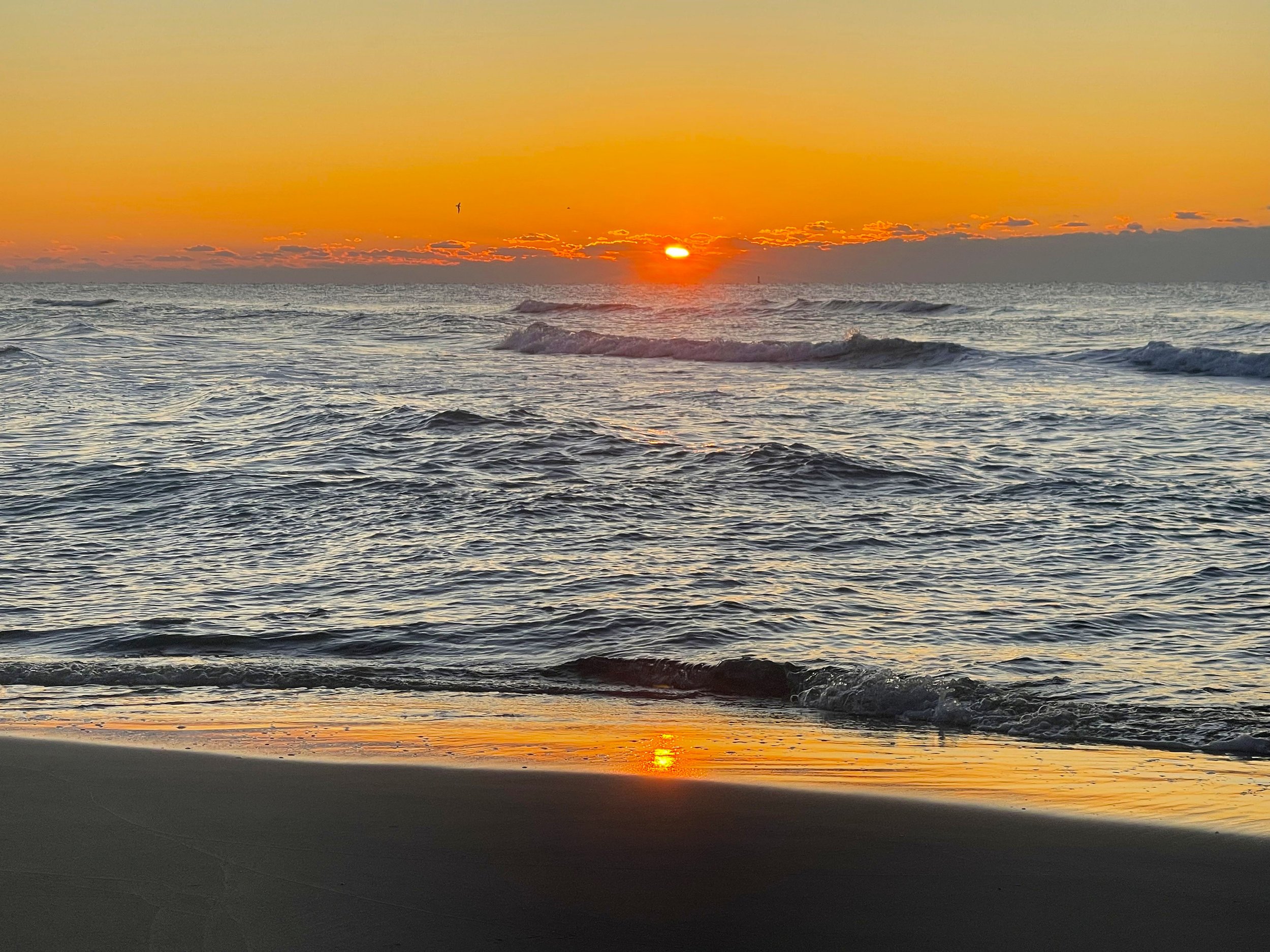 Morning Reflections