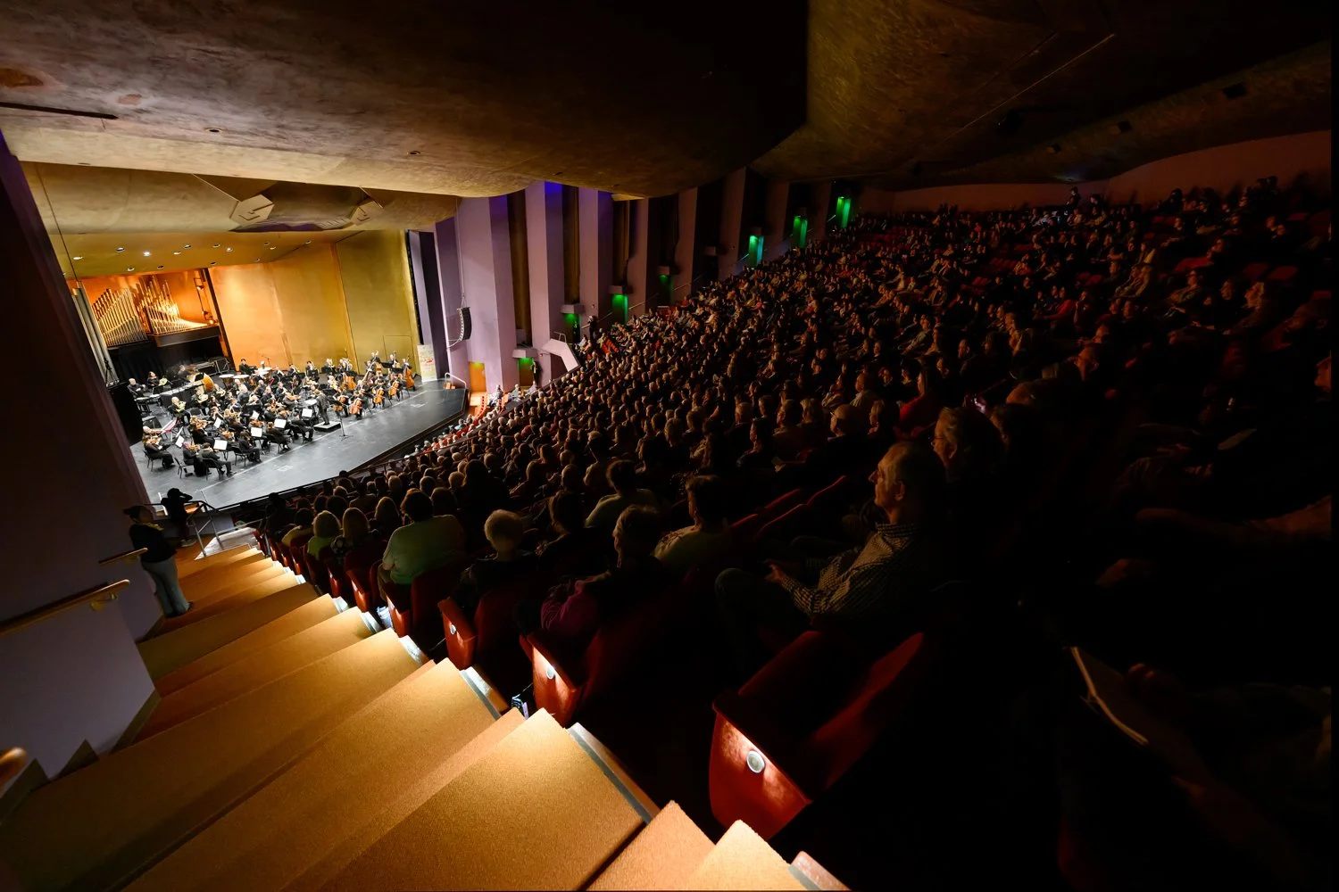 LO-20260227-In-Harmony-Danville-054-L.jpg