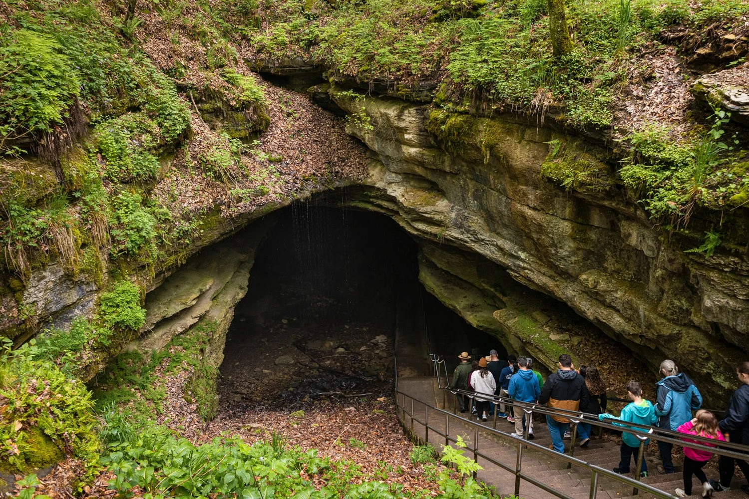 Yo_Yo_Ma_Mammoth_Cave-08741-(1).jpg