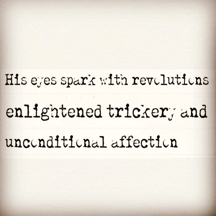 Book quote from the speculative fiction novel, THE LOOK OF AMIE MARTINE by Laurie Perez, Book 1 in The Amie Series