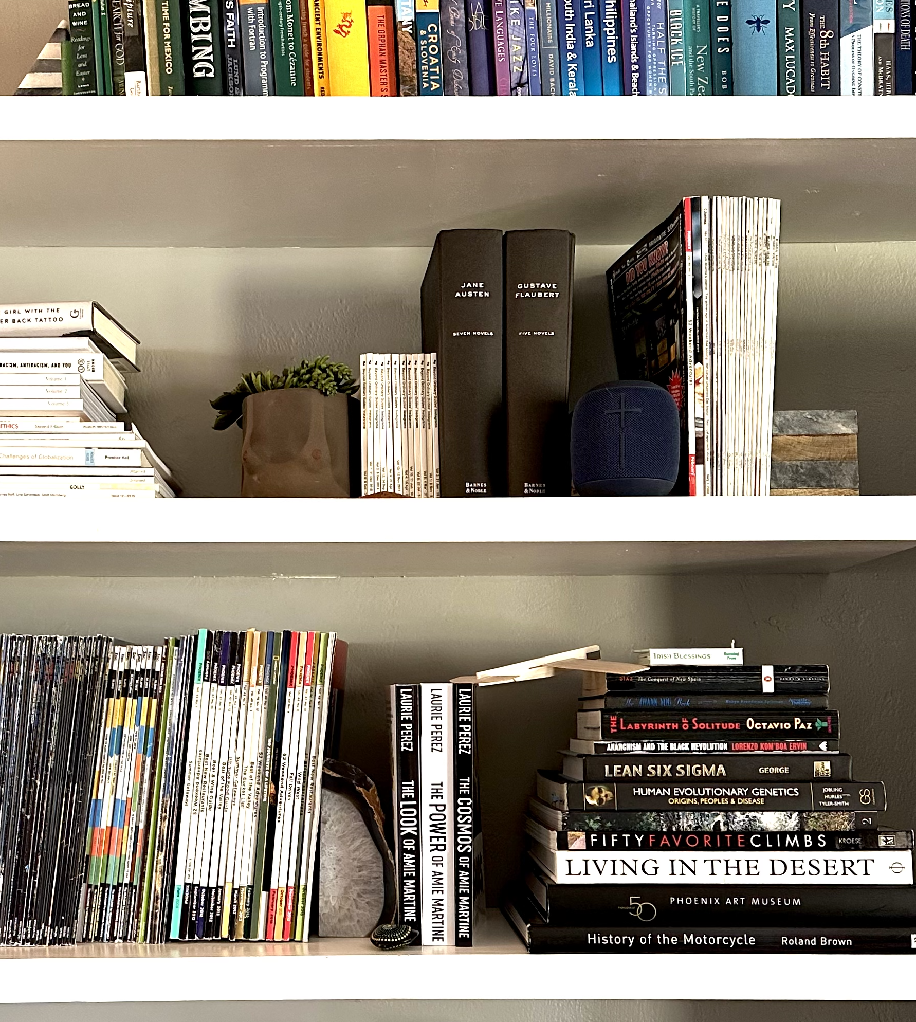 Photo by the author: a bookshelf in an AirBnB includes three books by Laurie Perez: THE LOOK OF AMIE MARTINE, THE POWER OF AMIE MARTINE and THE COSMOS OF AMIE MARTINE - speculative fiction trilogy