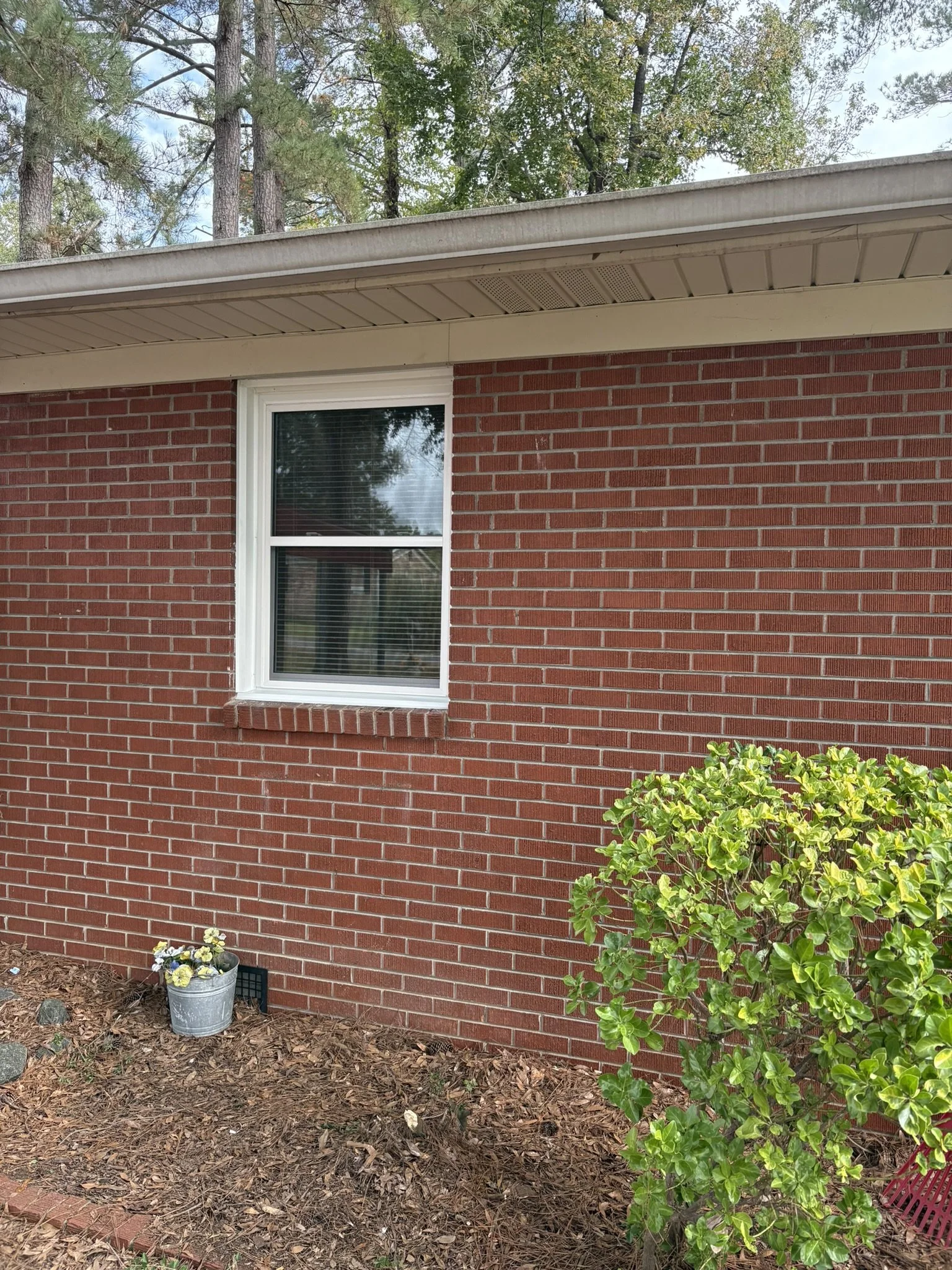 The image shows the exterior of a brick house wall with a white window and some green bushes in the front yard, with a garden bucket of flowers at the bottom left corner.