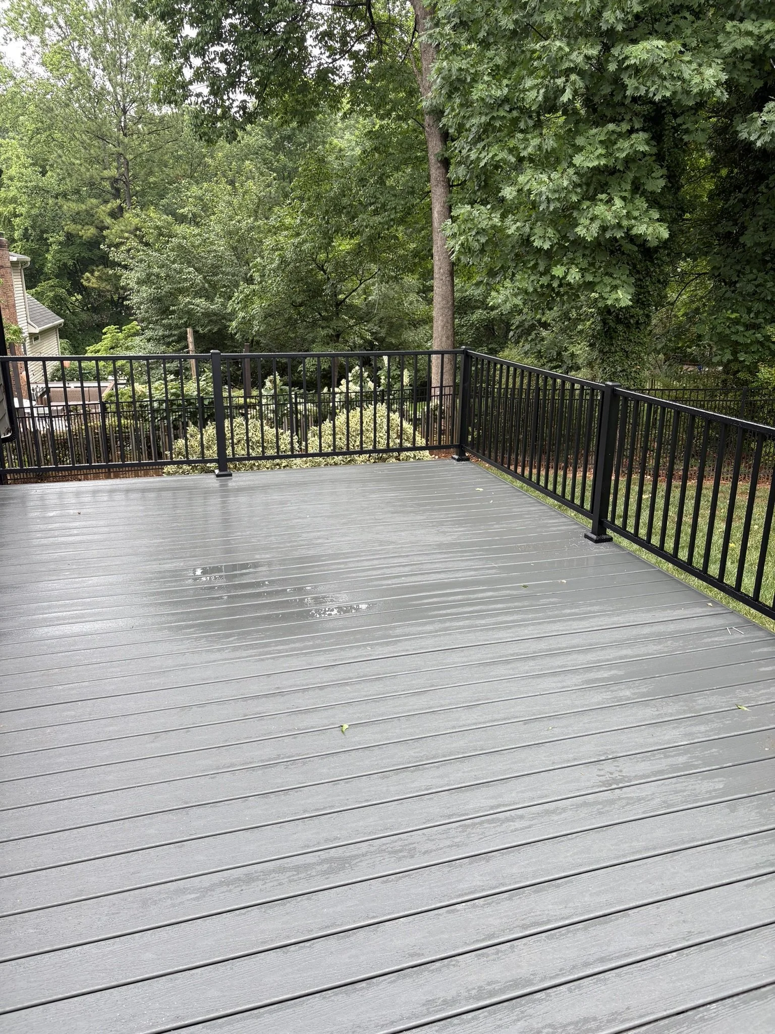 A wooden deck with a black metal railing, overlooking trees and foliage in a backyard.