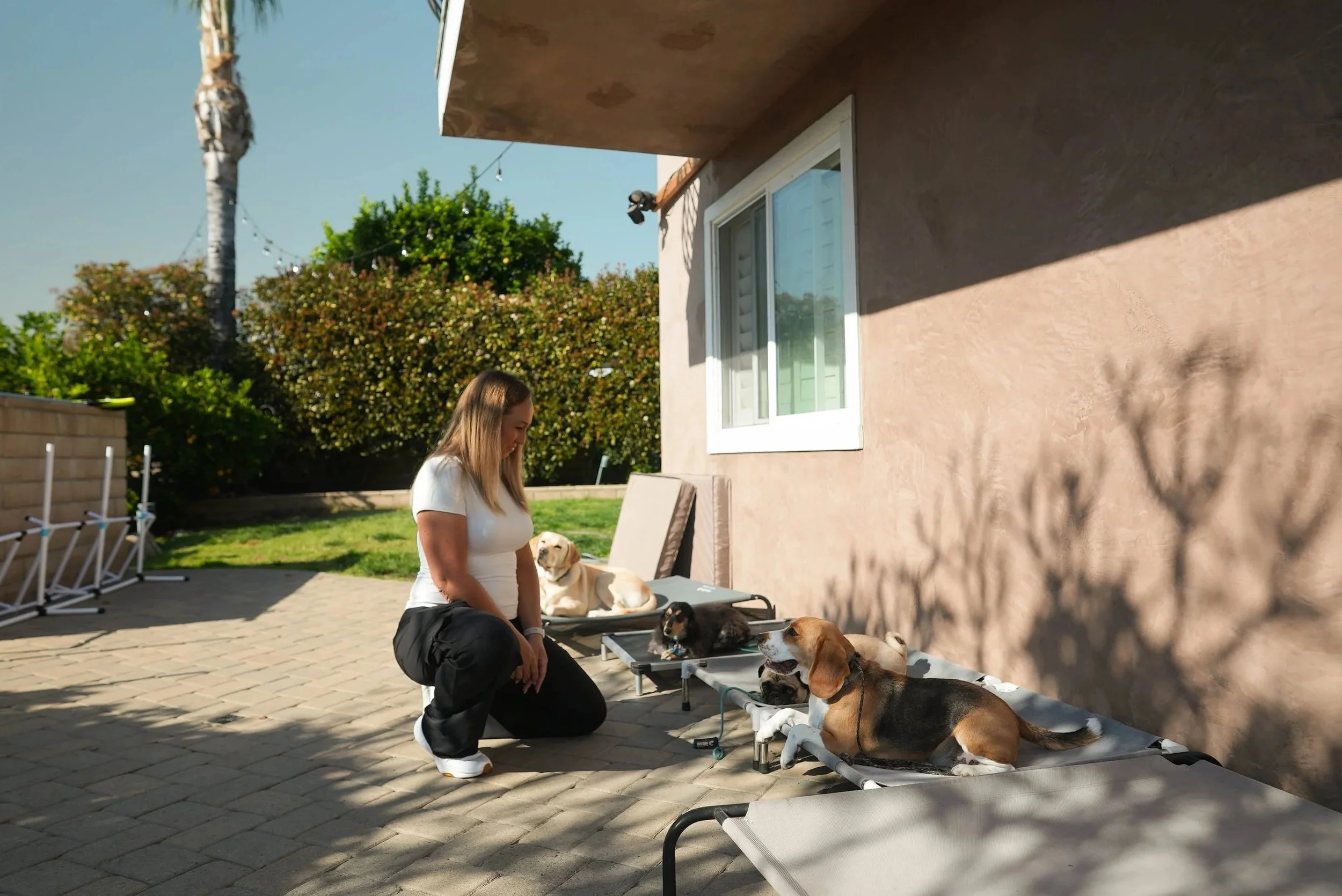 A woman with long blonde hair kneeling on a patio next to several dogs lying on elevated dog beds. The background includes a beige stucco house wall, a window, and lush green trees, with sunlight casting shadows on the patio.