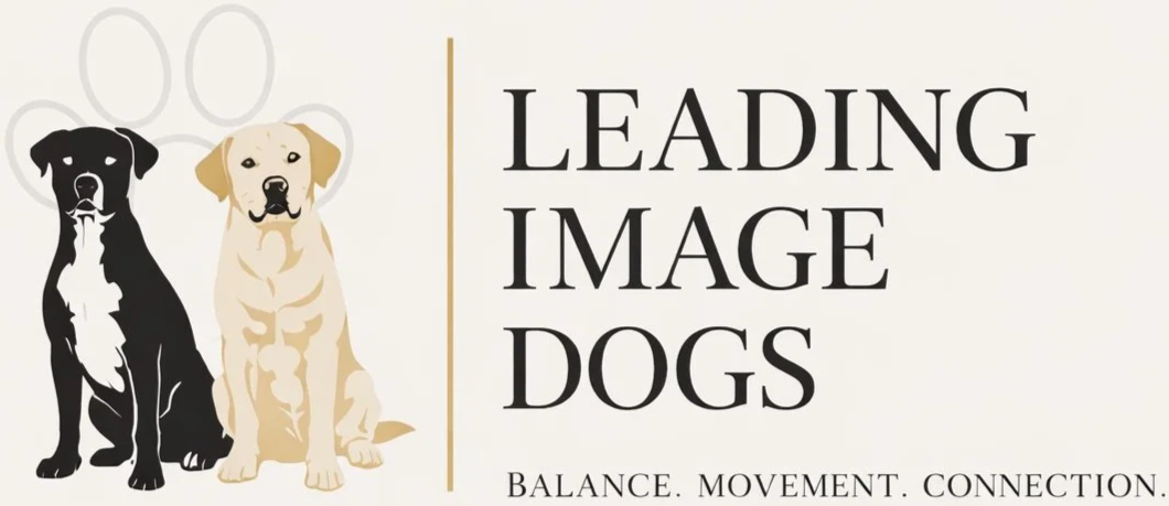 Leading Image Dog