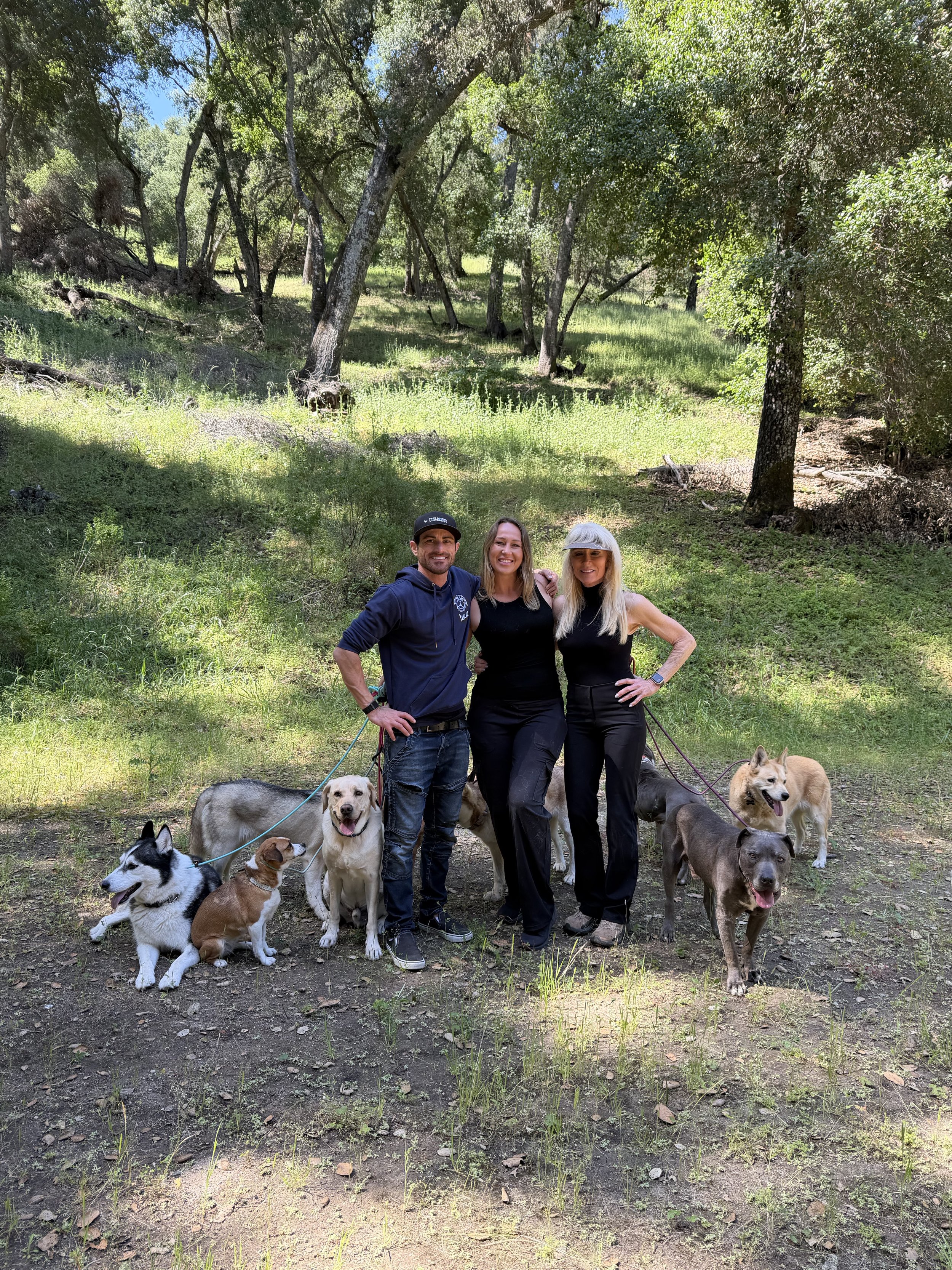 Three people standing in a forest with multiple dogs, smiling and posing for a photo.