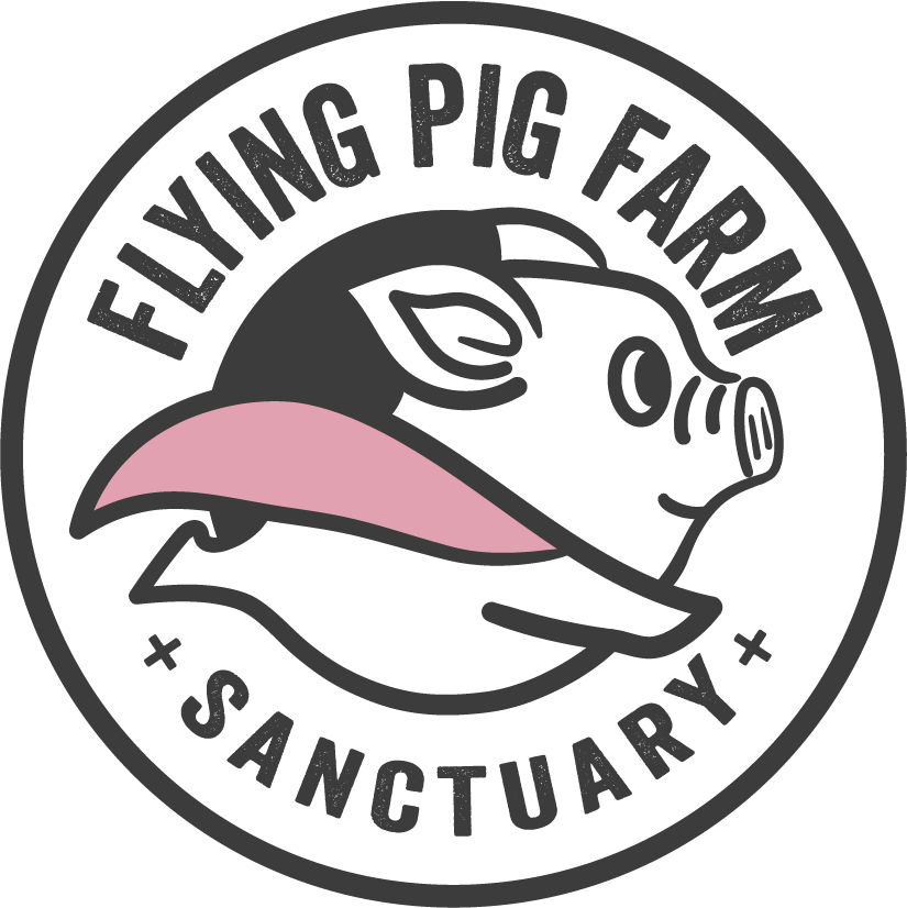 Flying Pig Farm Sanctuary