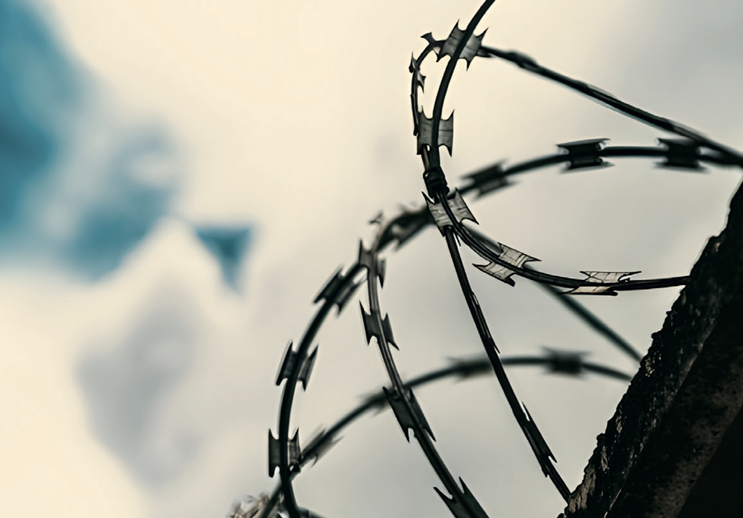 Gedenkkonzert: 80 Jahre Befreiung von Auschwitz