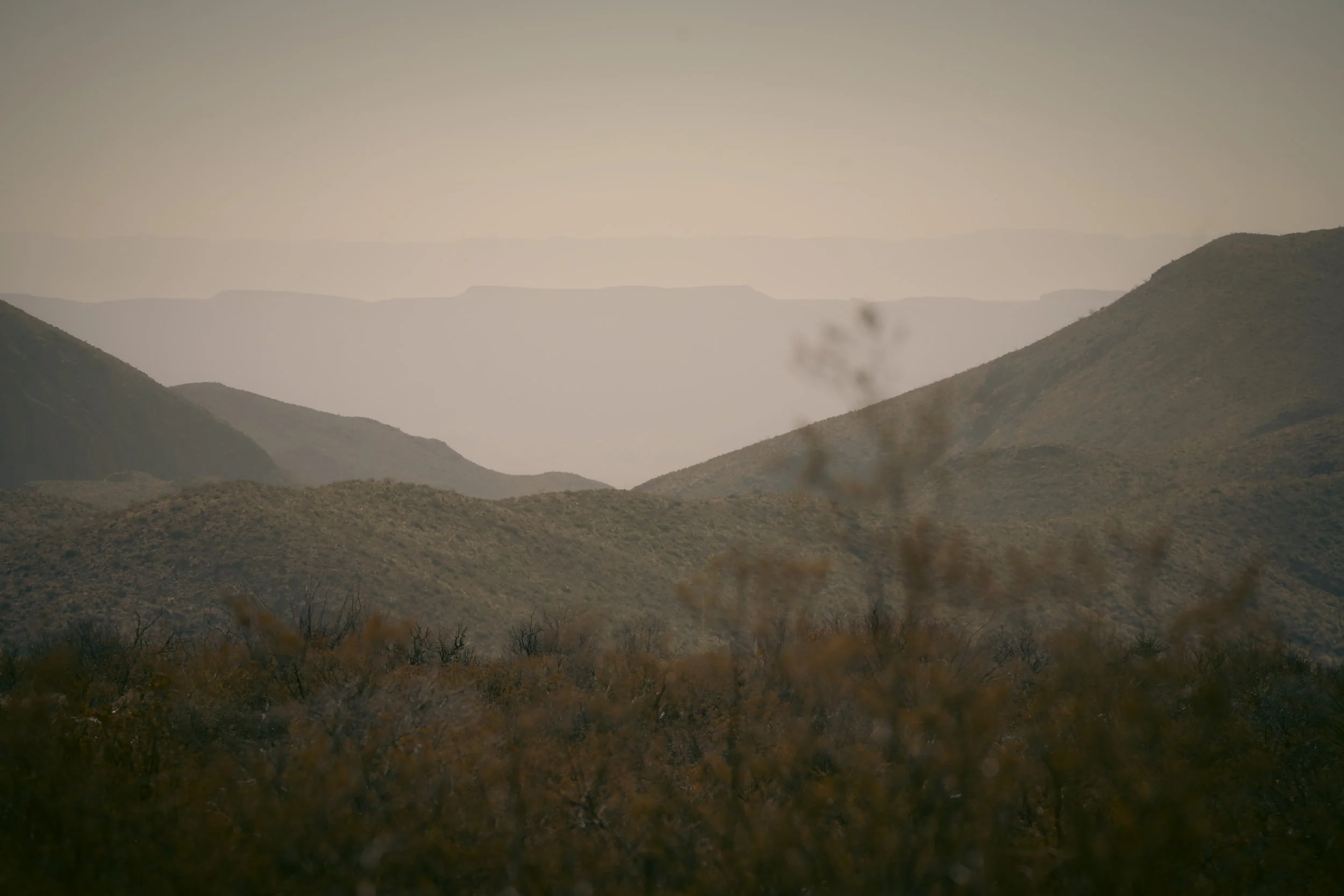 Hilly landscape with dry vegetation and distant mountains under a hazy sky. Big Bend National Park, January 2025.
