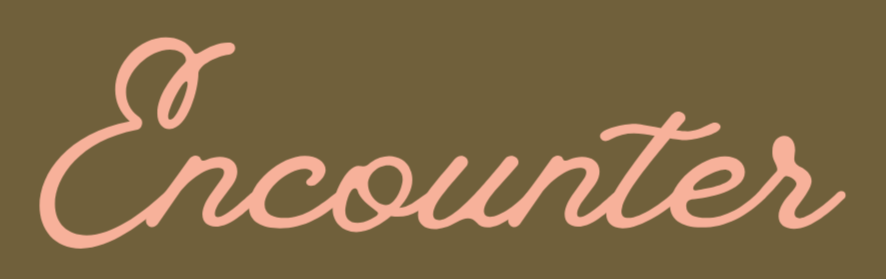 Encounter Counselling