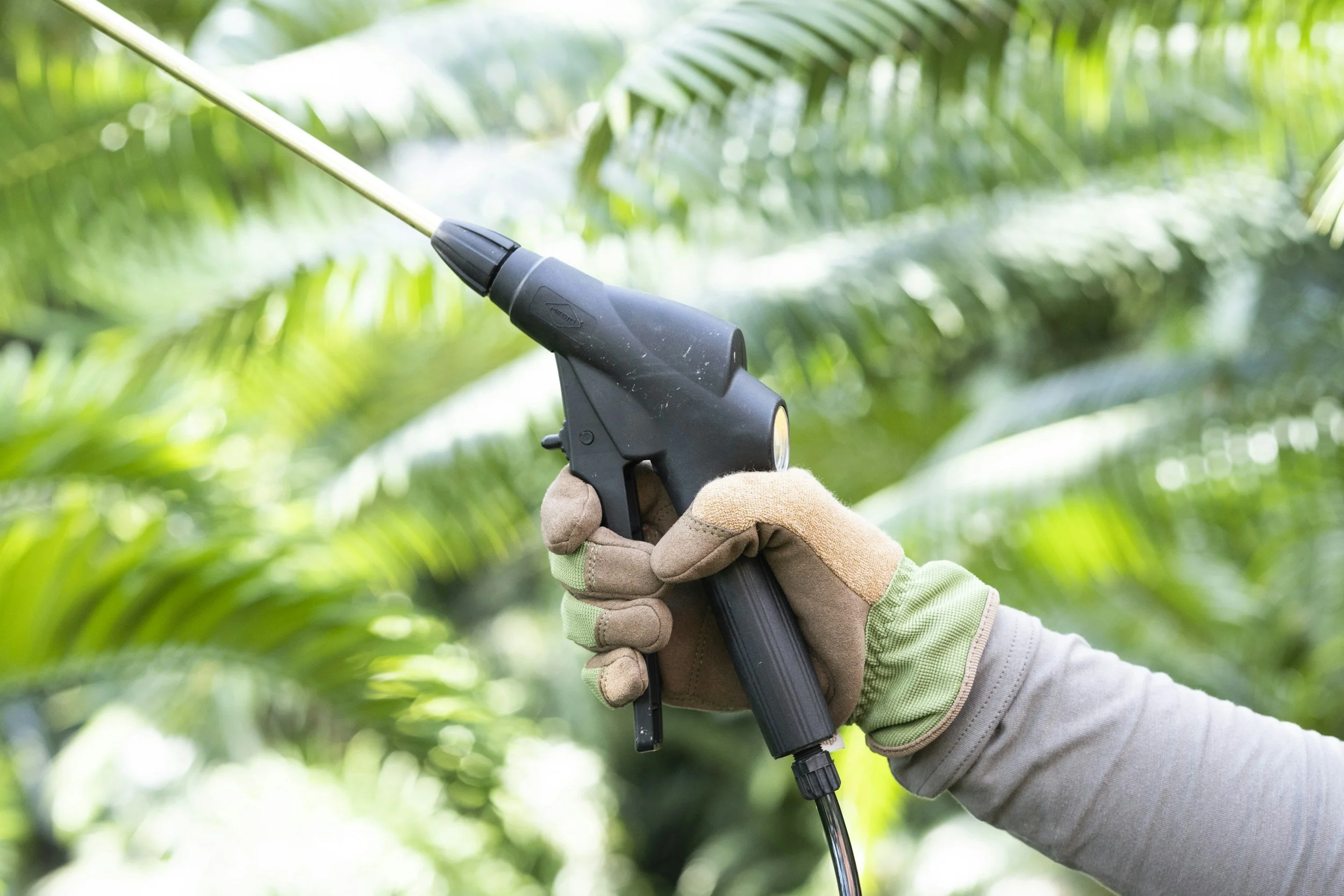 A person wearing gloves using a weed whacker to trim plants in a garden or outdoor area with lush green foliage.