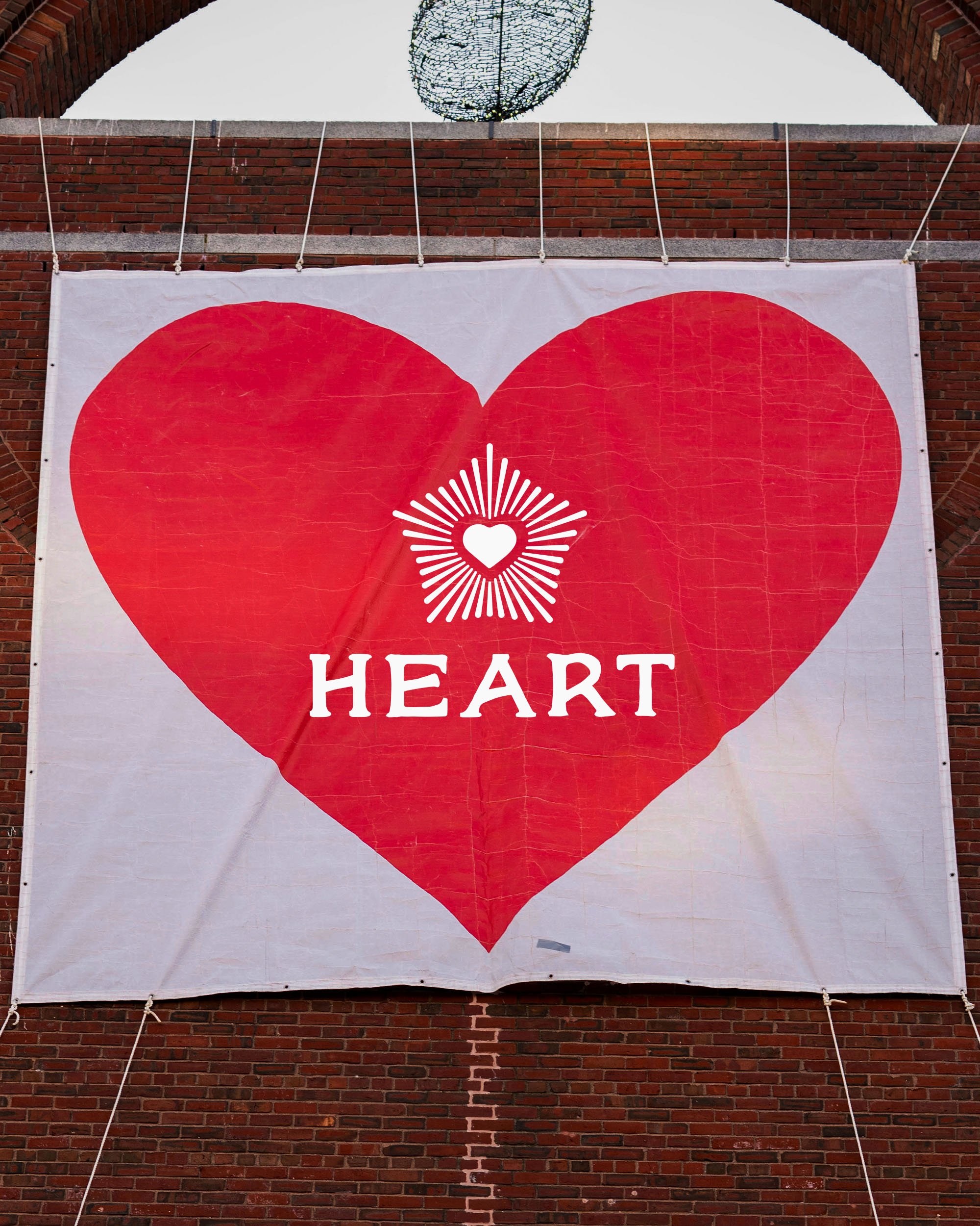 heart imagery