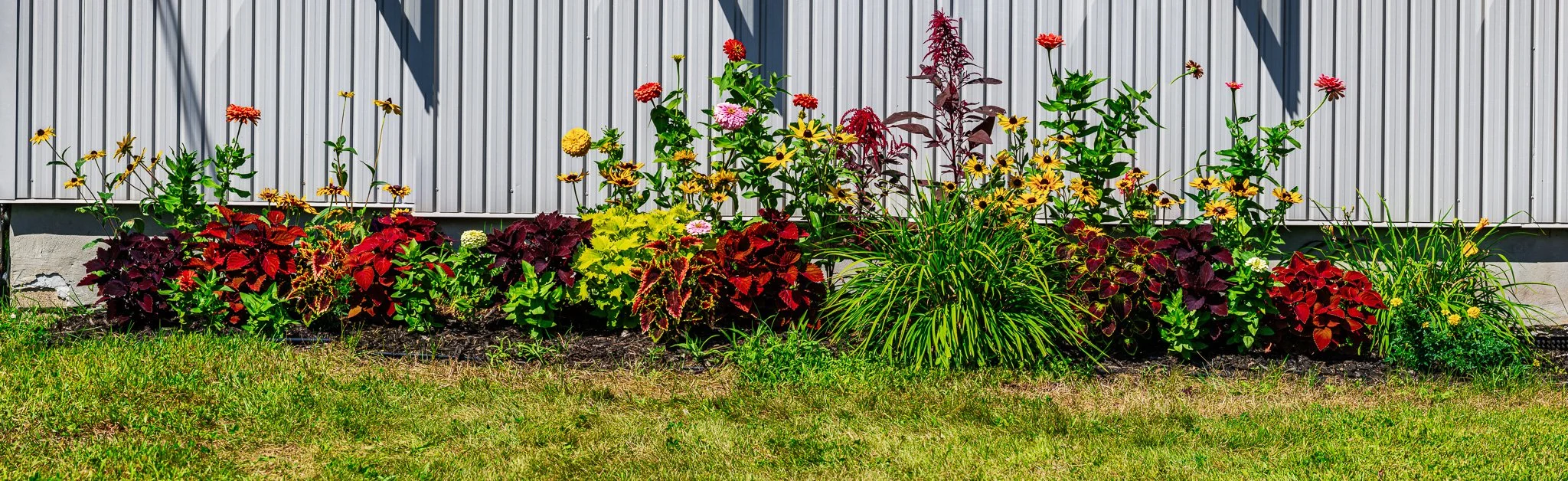 _PIC3956-Pano.jpg