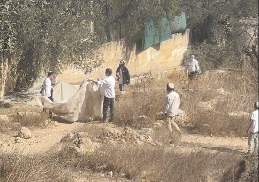 Update: Olive farmers attacked by extremist settlers
