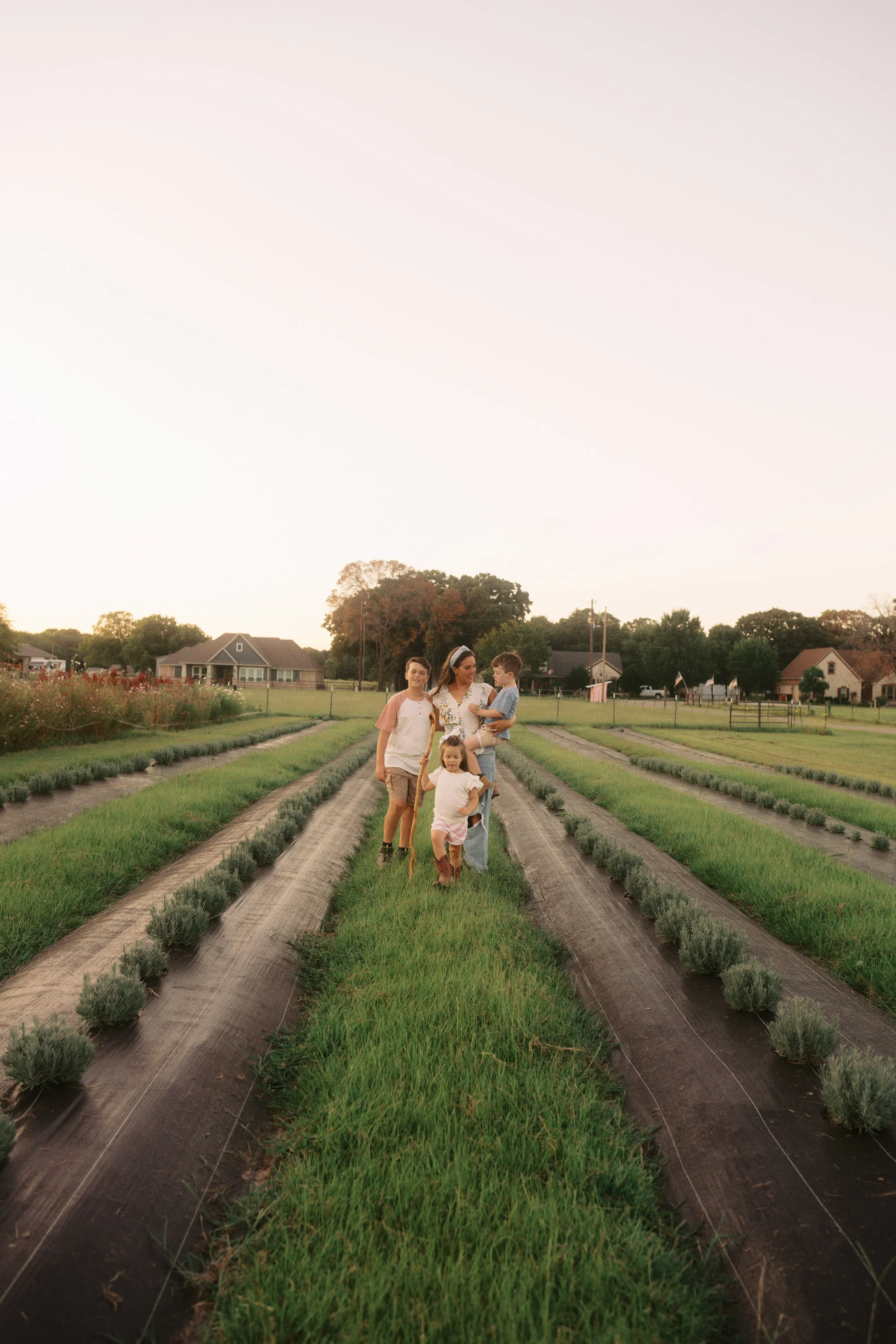 A woman and four children walking through a vegetable garden at sunset. The garden has parallel rows of plants, and there are residential houses and trees in the background.