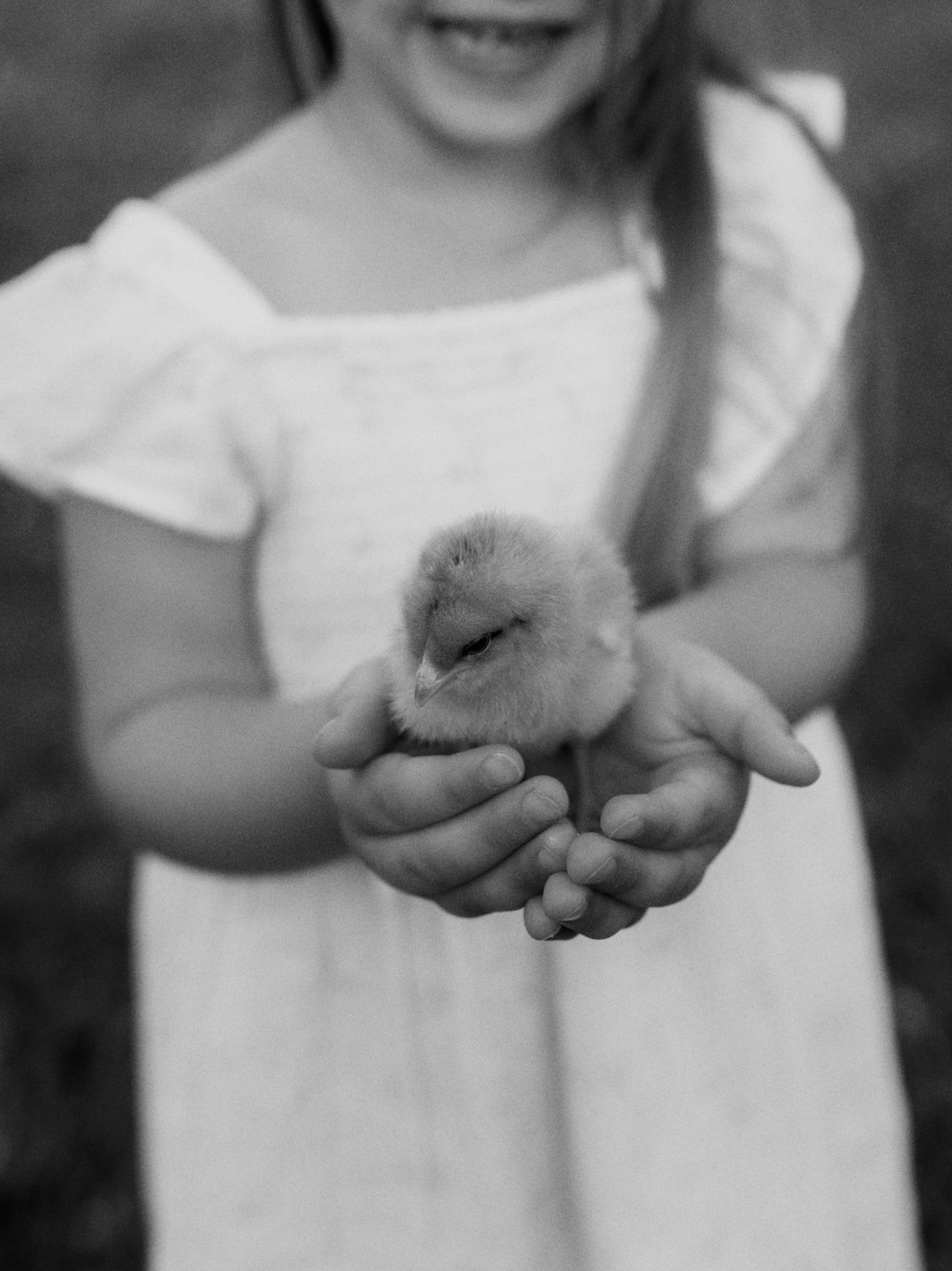 A person holding a baby chick in their hands.