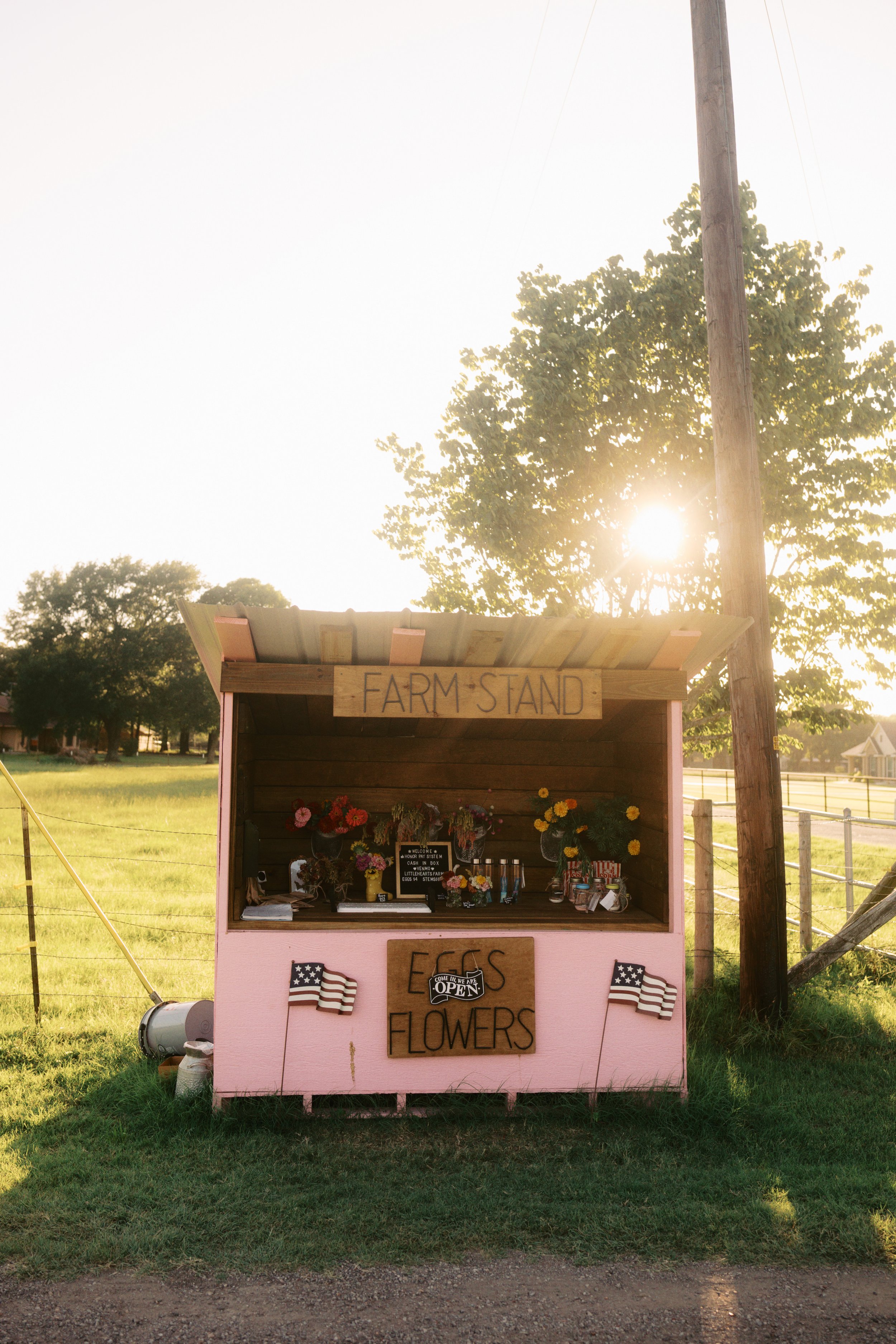 Pink flower stand with a sign that says "Farm Stand" and displays various flowers for sale. The stand has a roof with a sign, and there is an American flag decoration on the front. The background shows a grassy area, trees, and a sunrise or sunset.