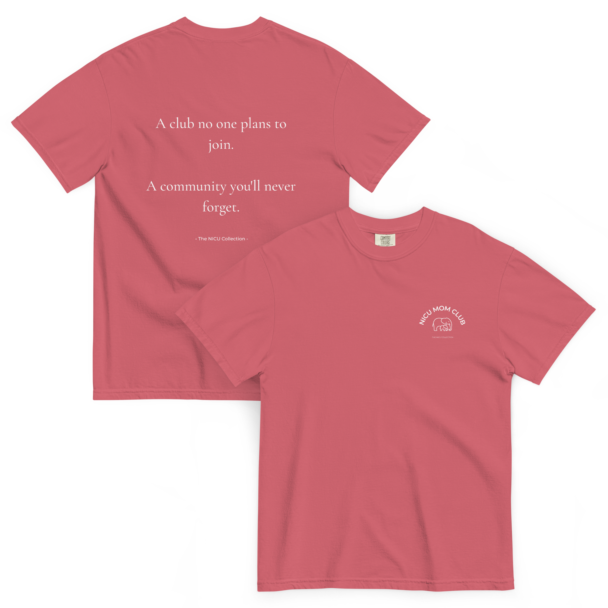 unisex-garment-dyed-heavyweight-t-shirt-watermelon-front-and-back-6a2992fcf35d5.png