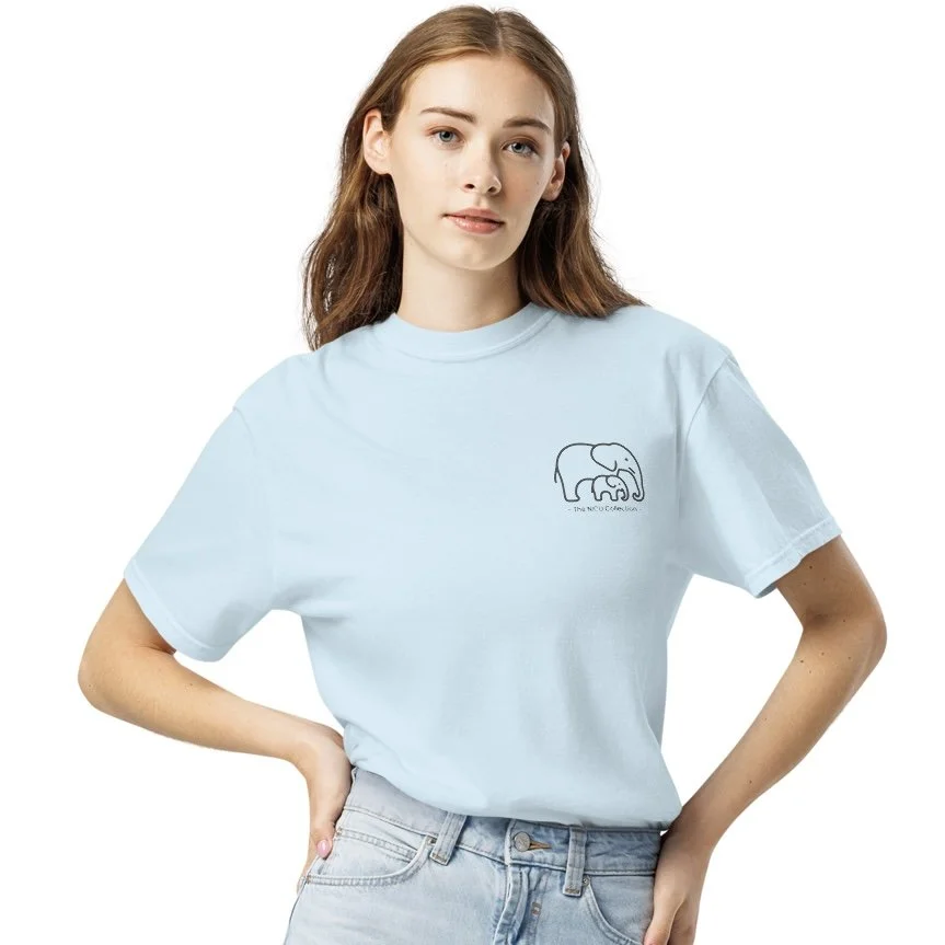 unisex-garment-dyed-heavyweight-t-shirt-chambray-front-6a2993d265725.jpeg