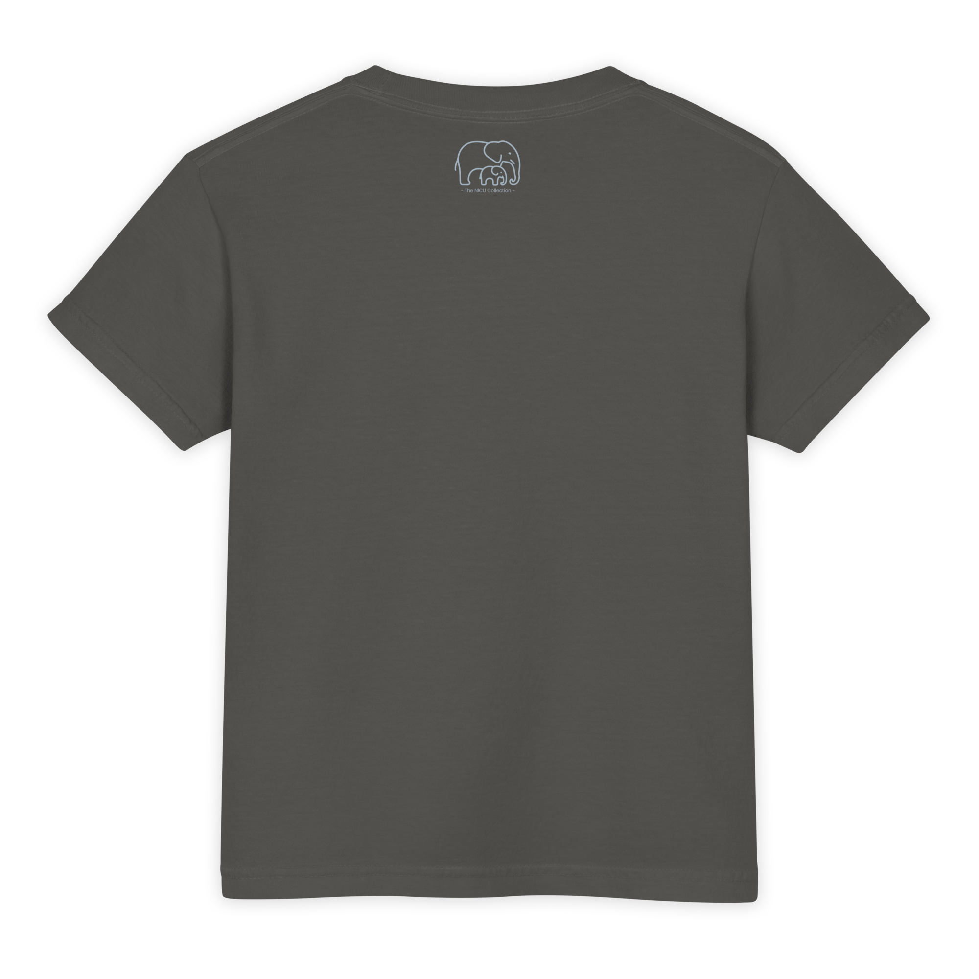 youth-garment-dyed-heavyweight-t-shirt-pepper-back-6a3298de8966e.png