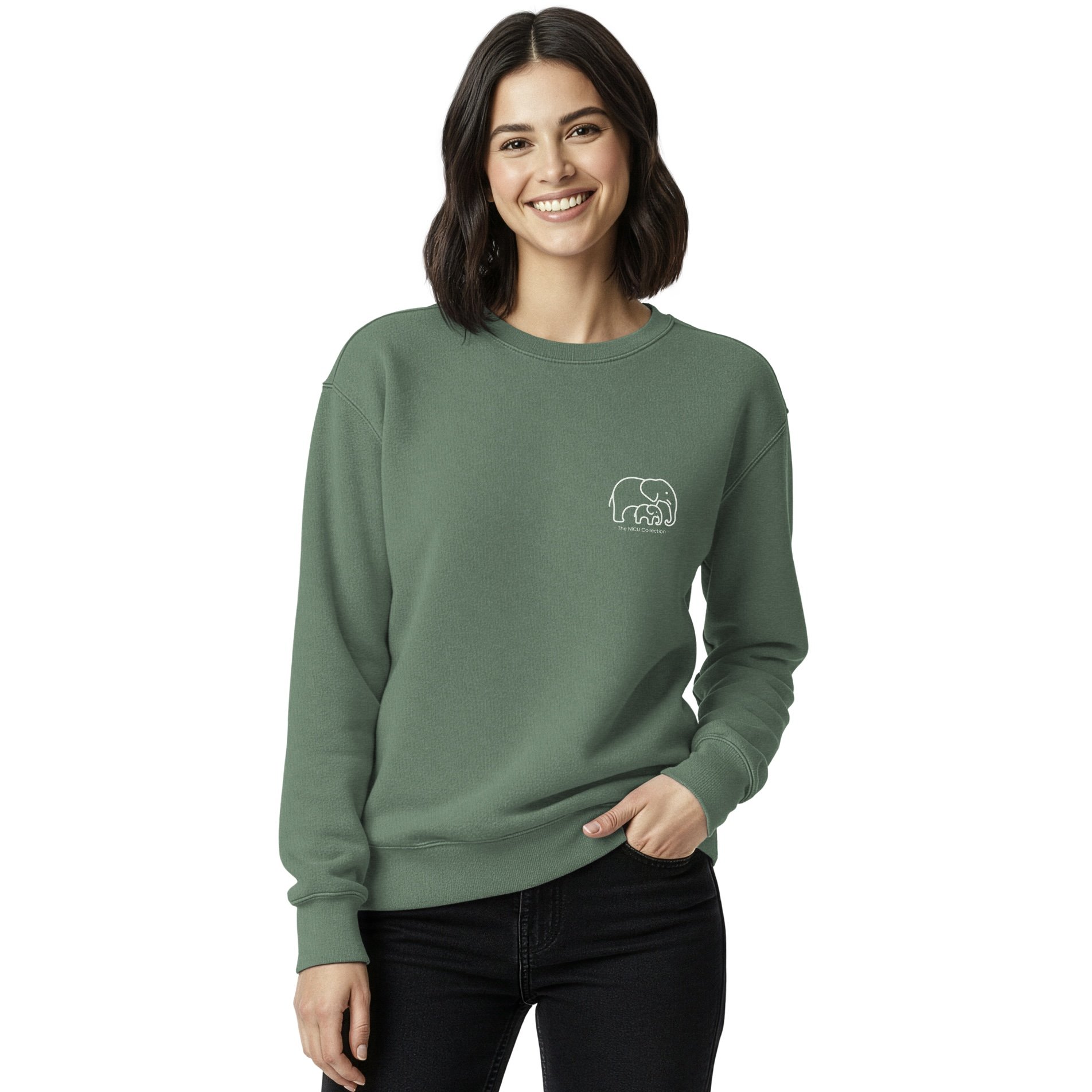 unisex-garment-dyed-sweatshirt-light-green-front-6a299571d95bf.jpeg
