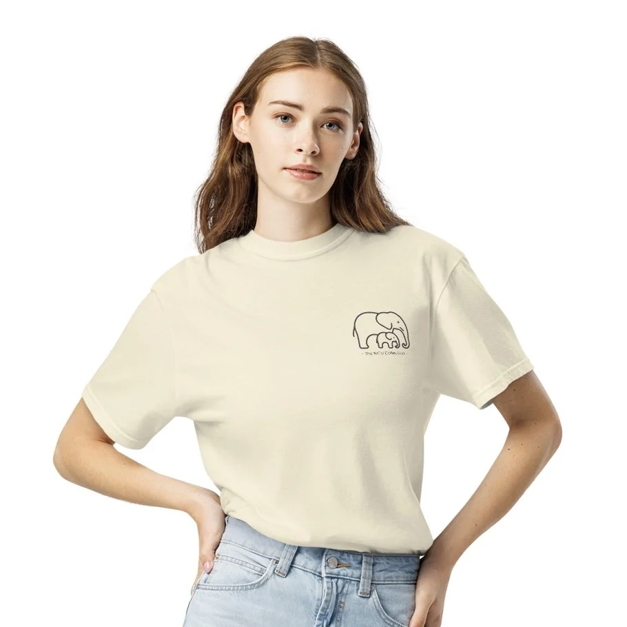 unisex-garment-dyed-heavyweight-t-shirt-ivory-front-6a2993d265811.jpeg