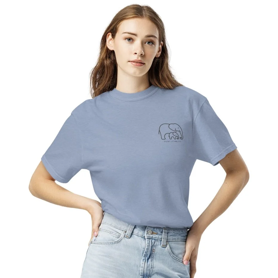 unisex-garment-dyed-heavyweight-t-shirt-washed-denim-front-6a2993d2658f2.jpeg