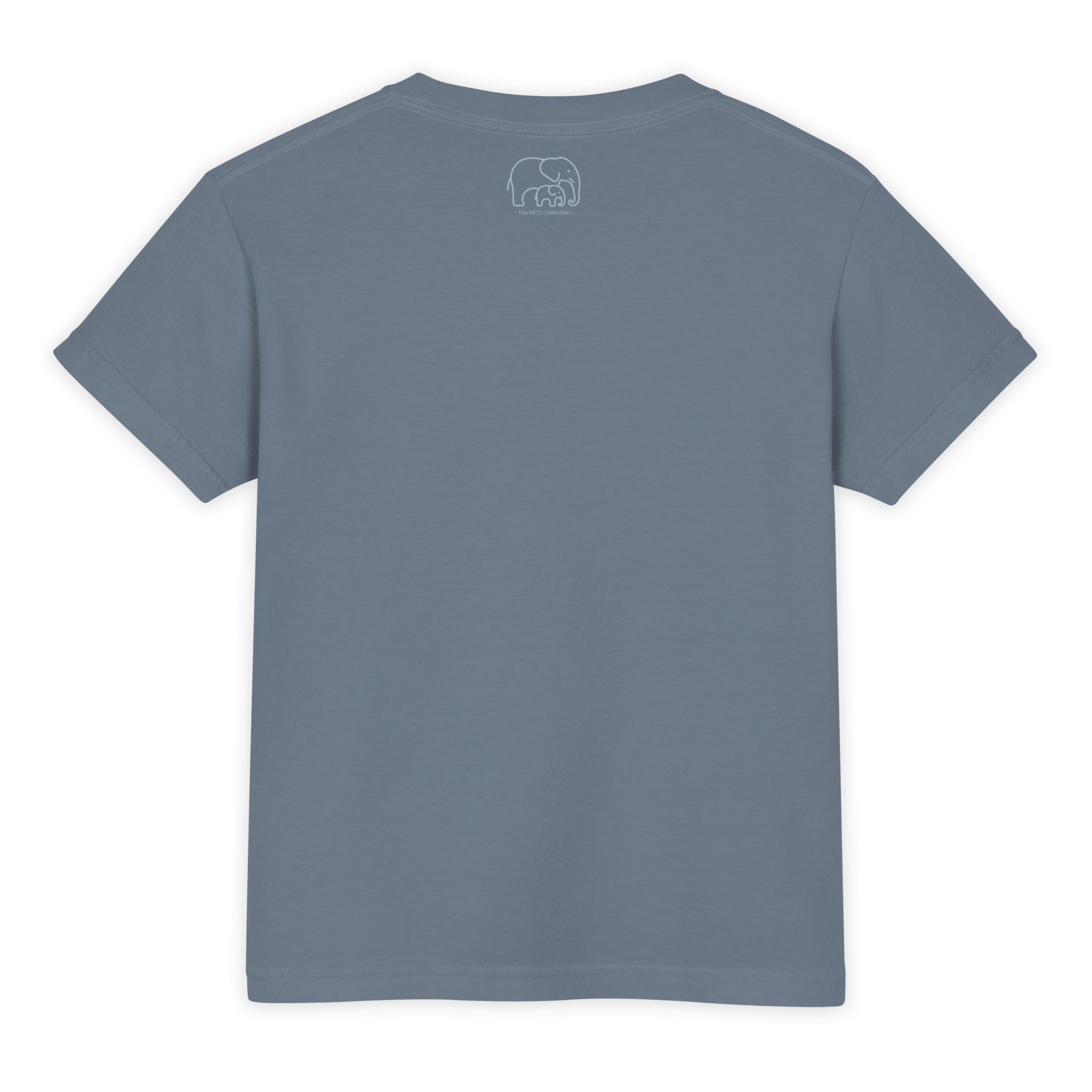 youth-garment-dyed-heavyweight-t-shirt-blue-jean-back-6a3298de895a7.png