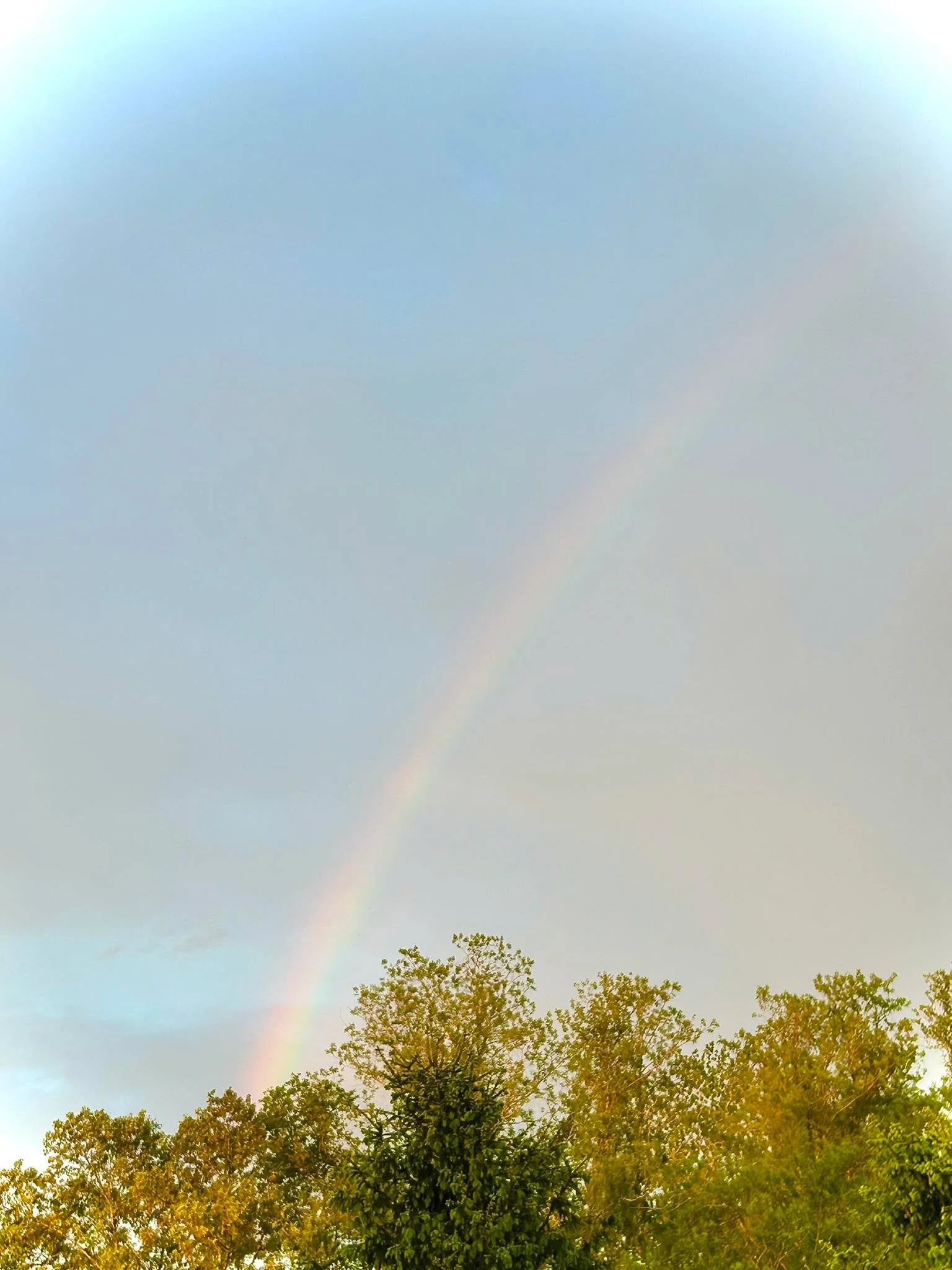 Did yall catch that yesterday early evening!!? ☀️🌈 was there briefly and then a dark cloud rolled in and started the rain🌫️ 🌧️!! Me and my sister Sheenah Costa was in mid convo then I gasped, cut her off and was like look!!!! 😂 Will be lovely if 